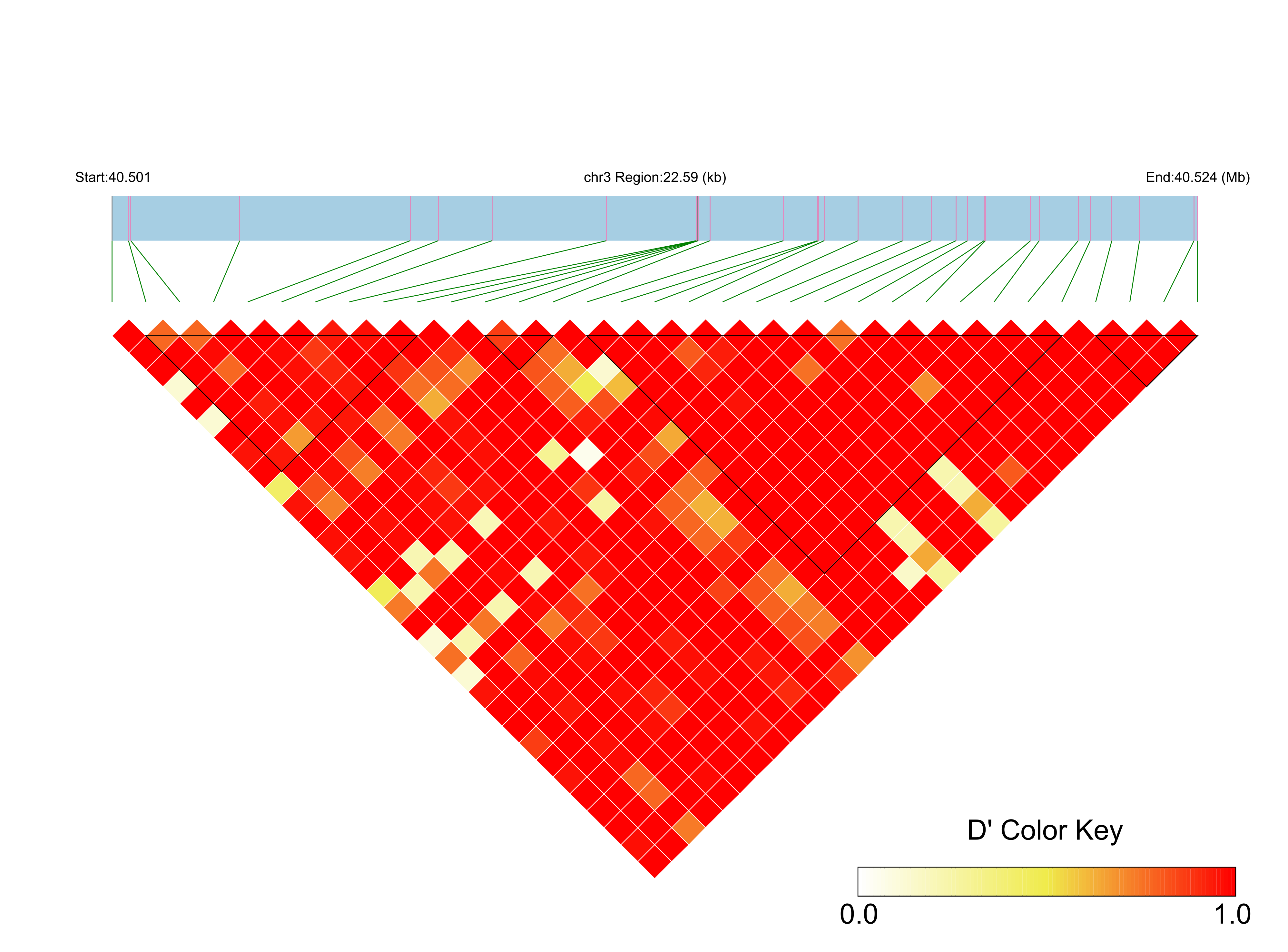 LD