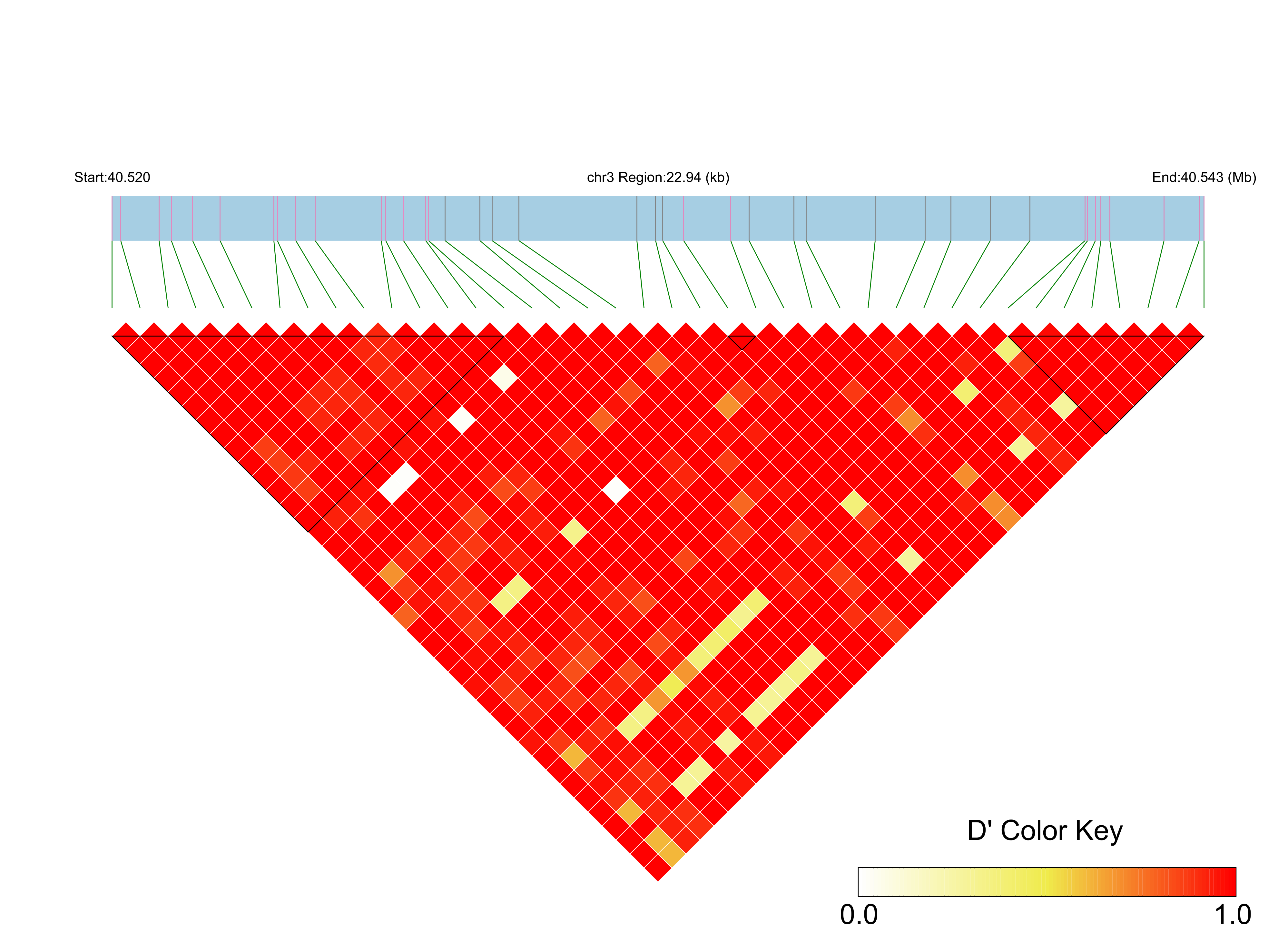 LD