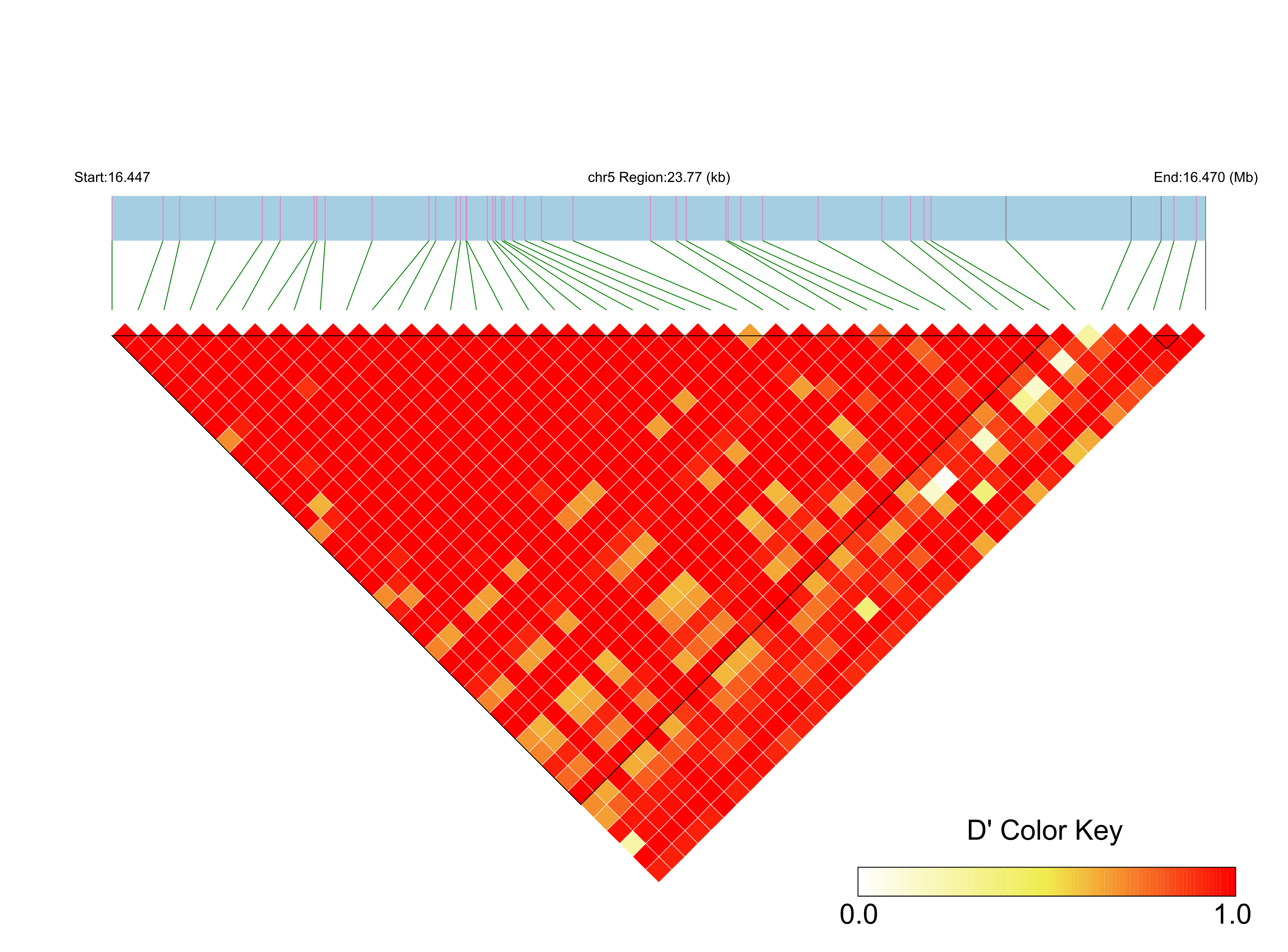 LD