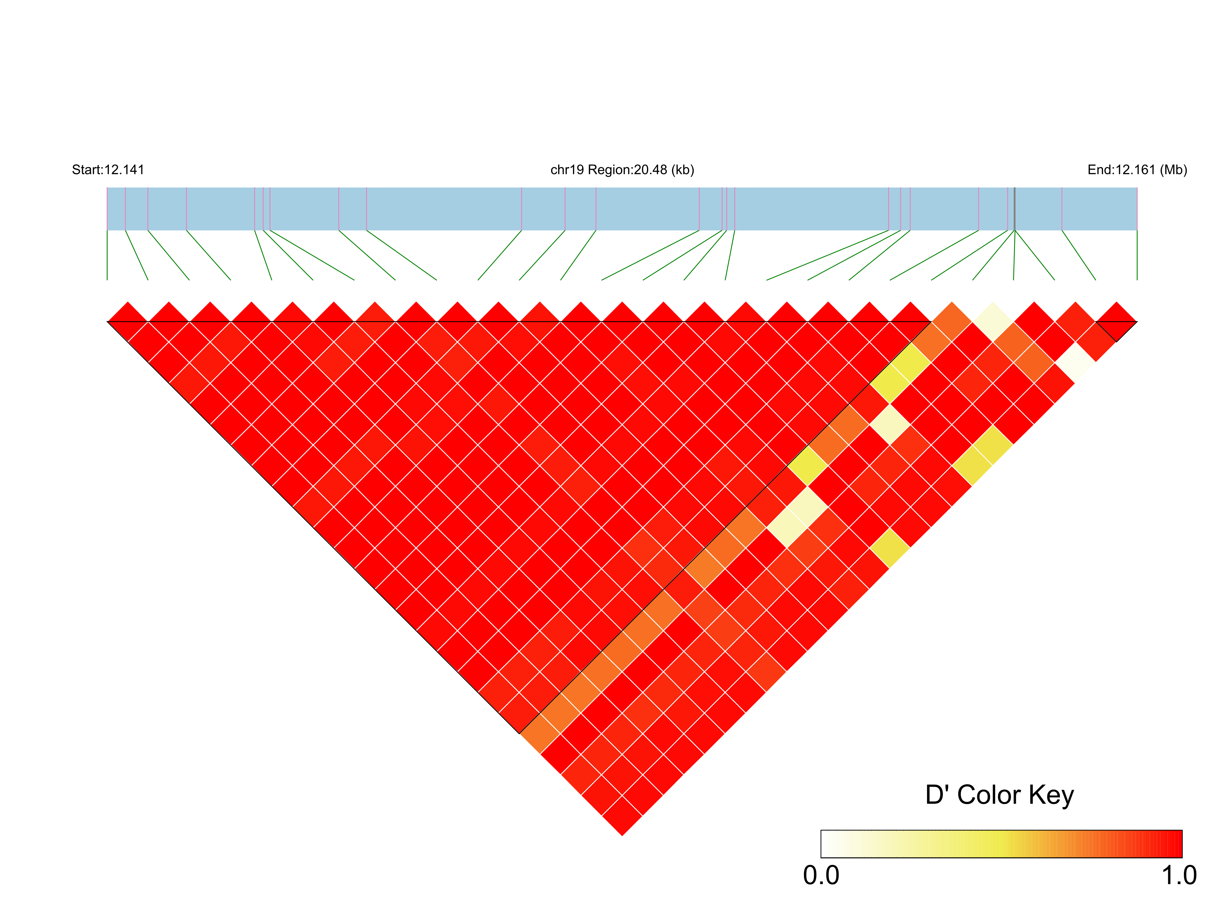 LD