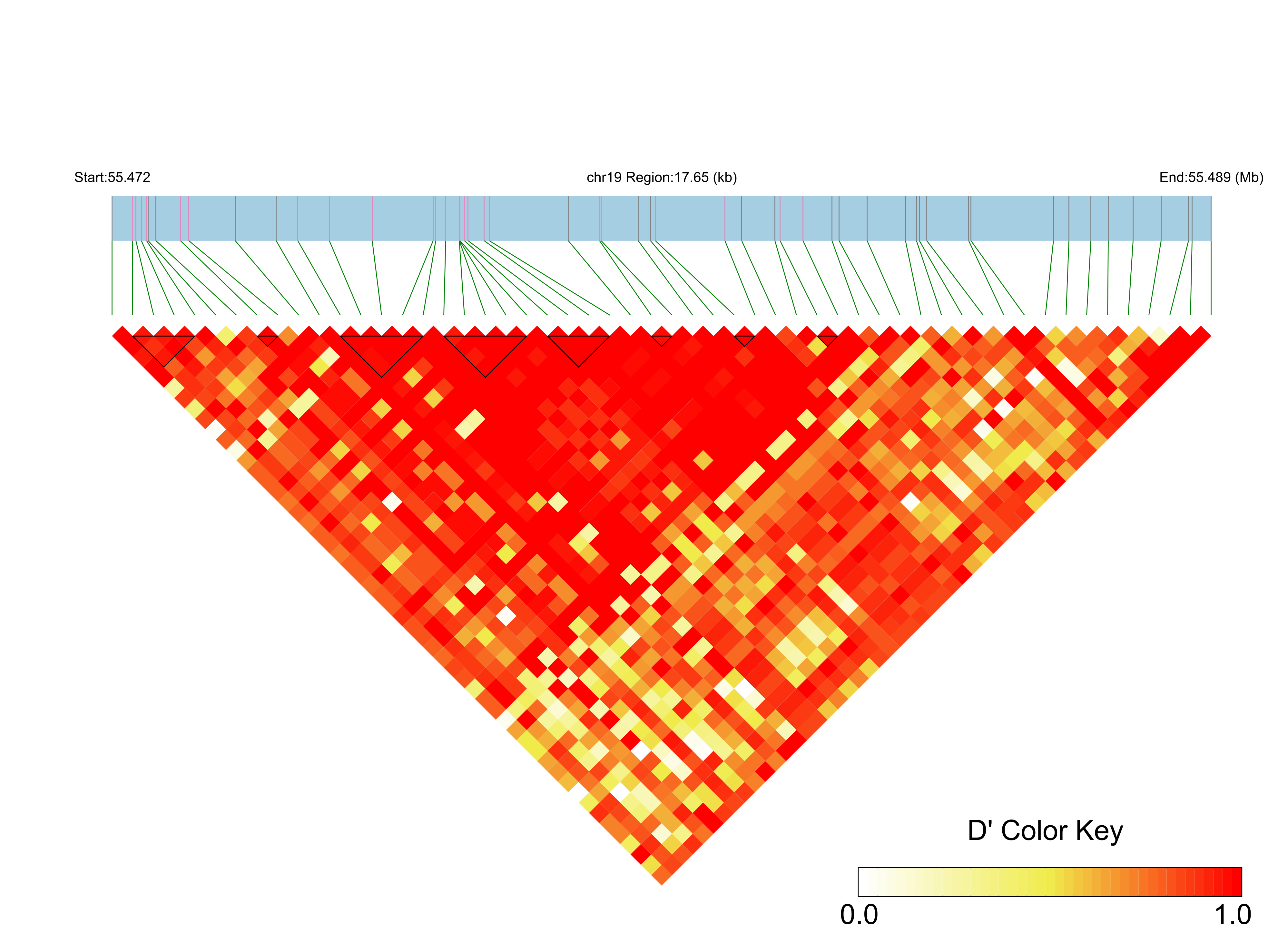 LD