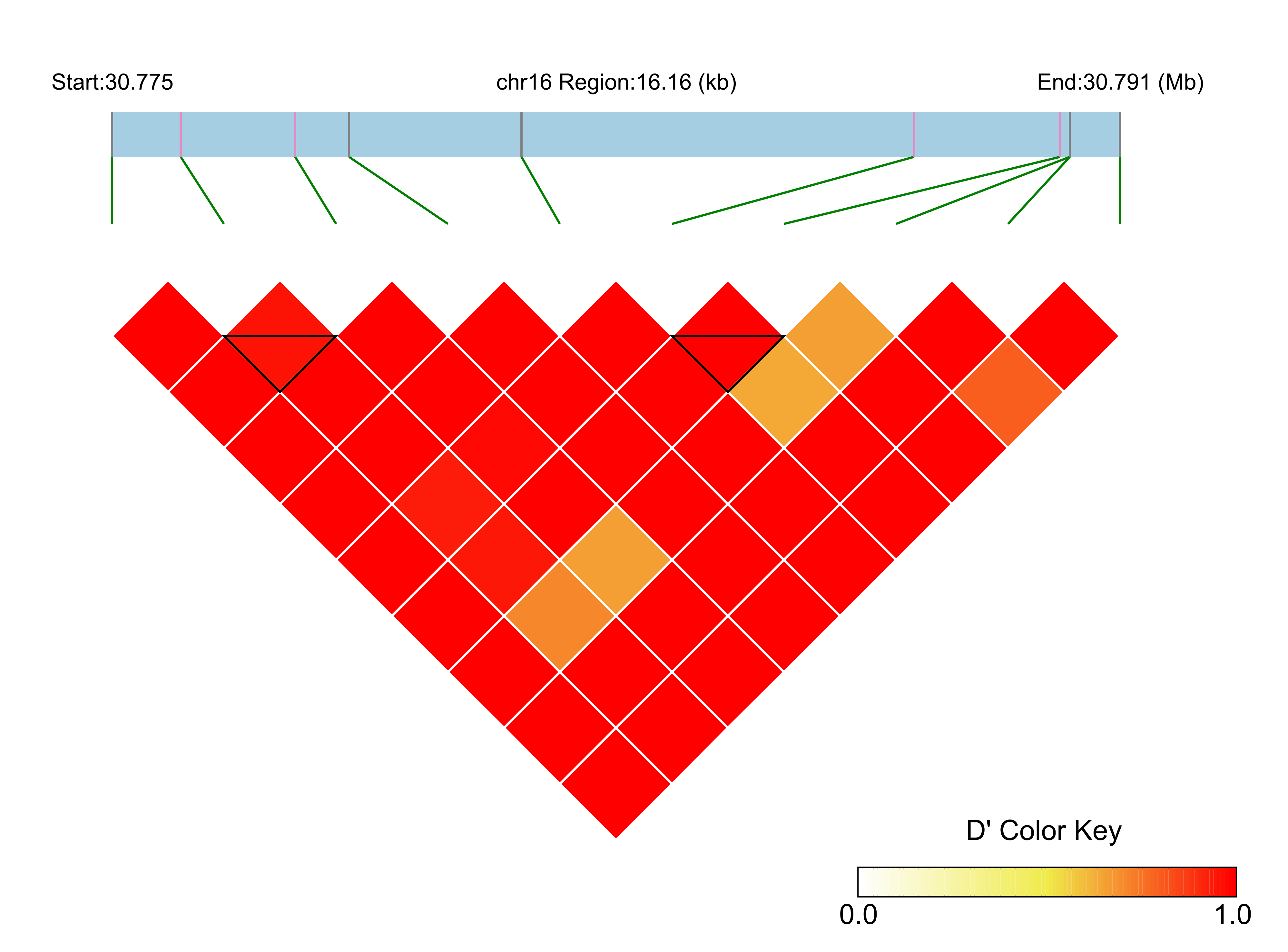 LD