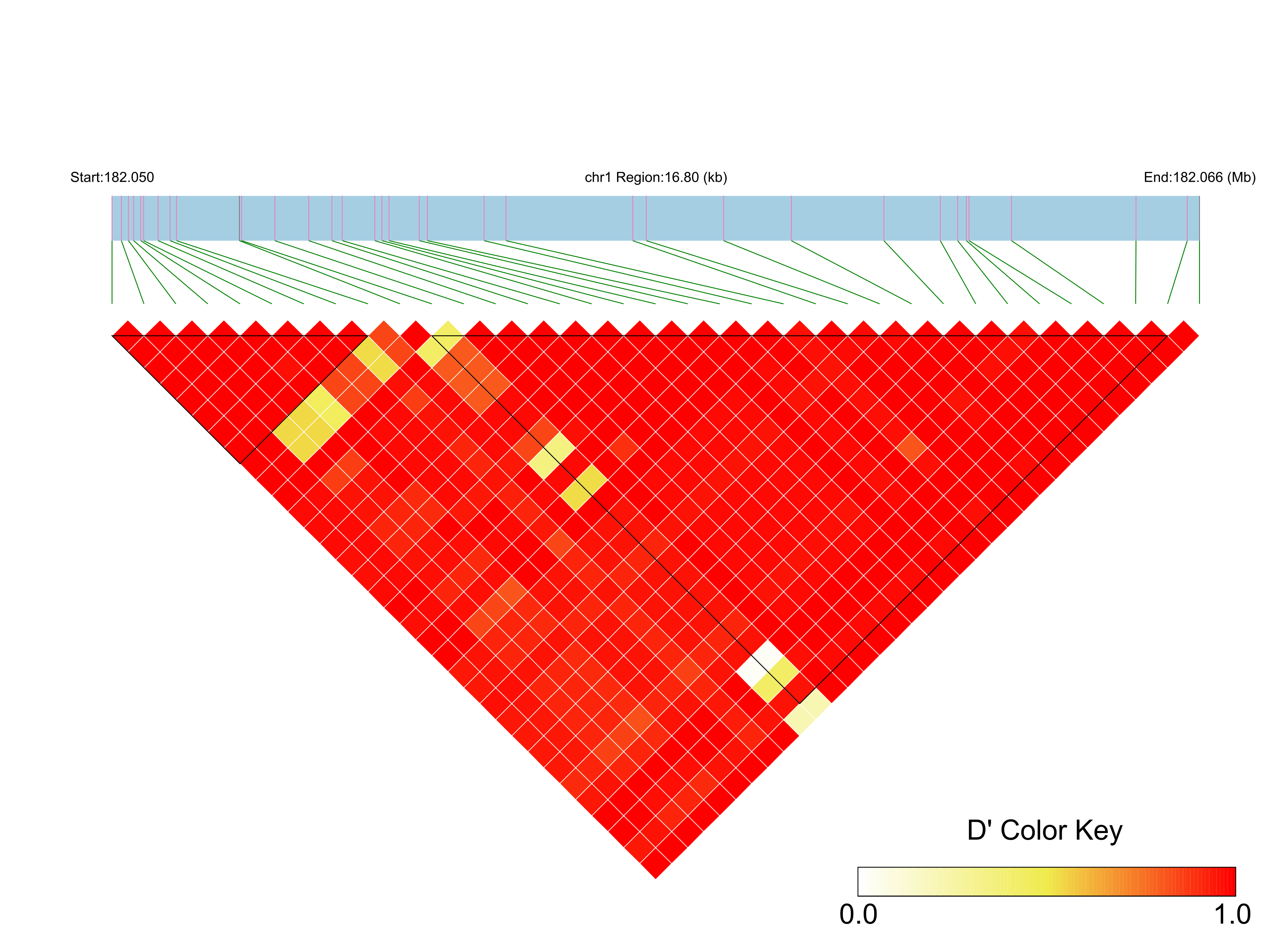 LD