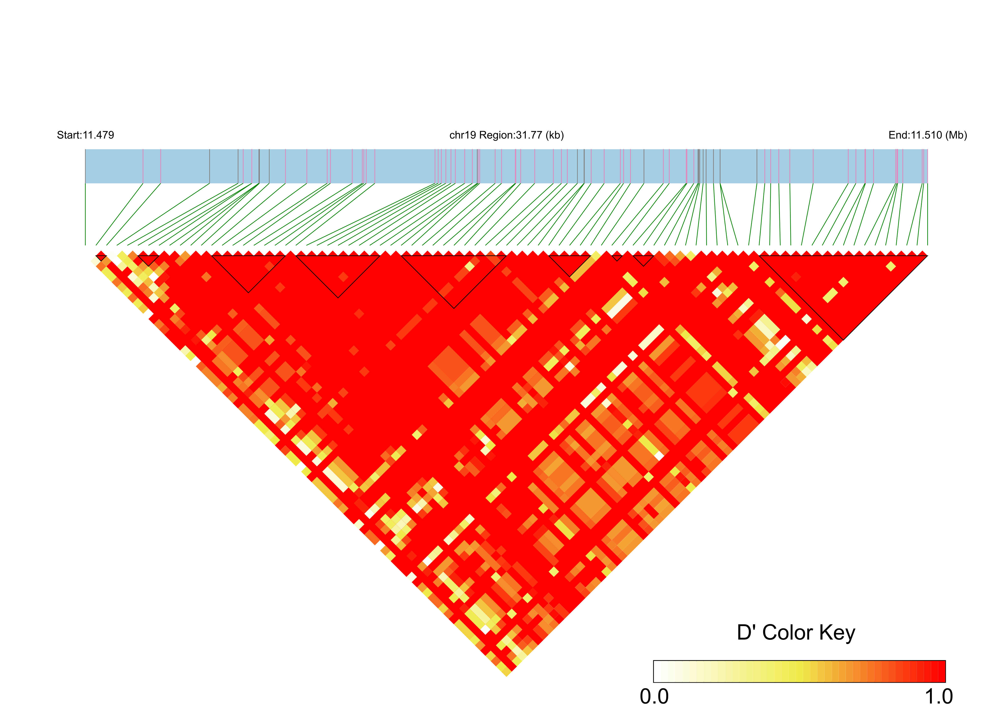 LD