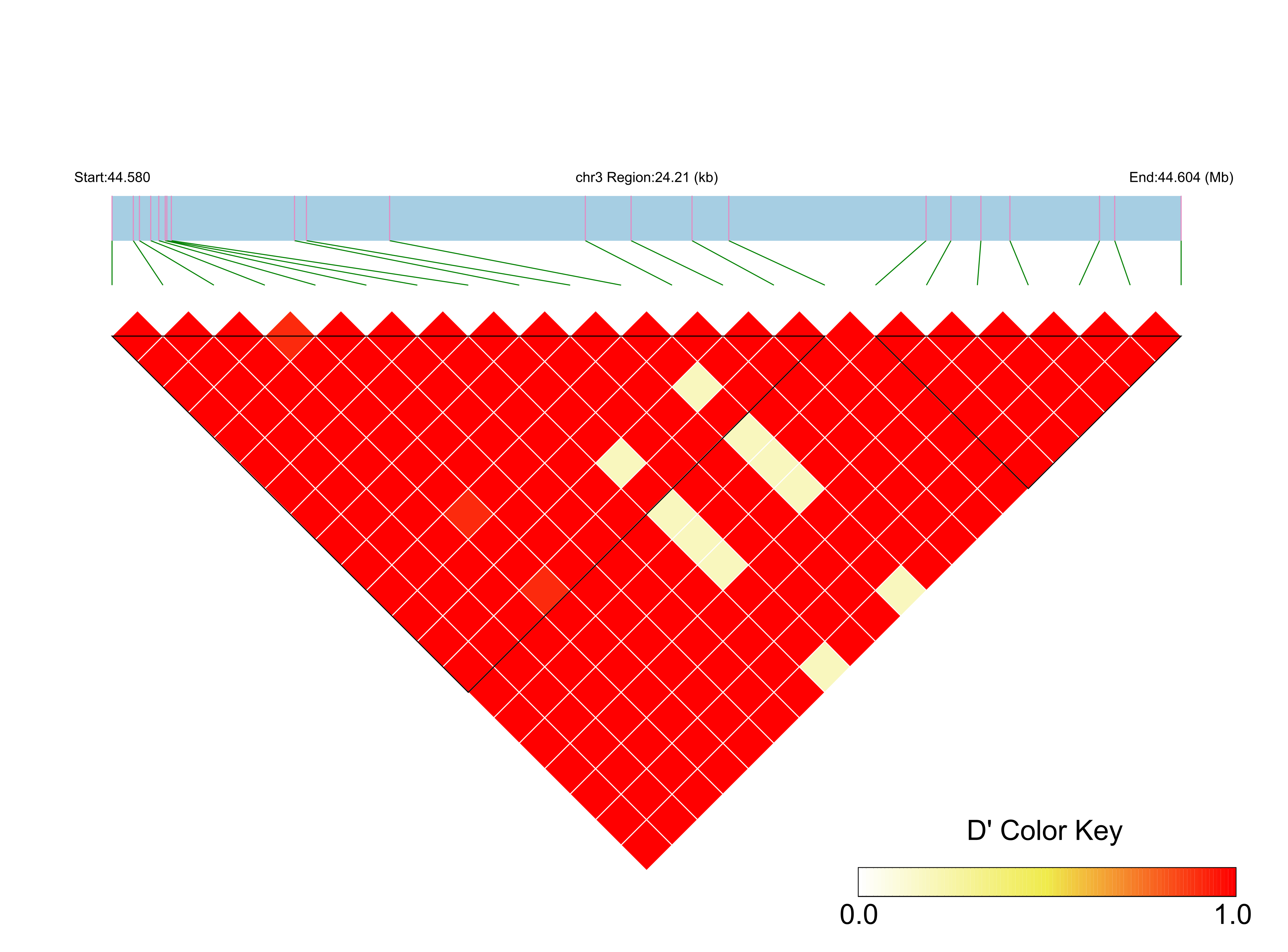 LD