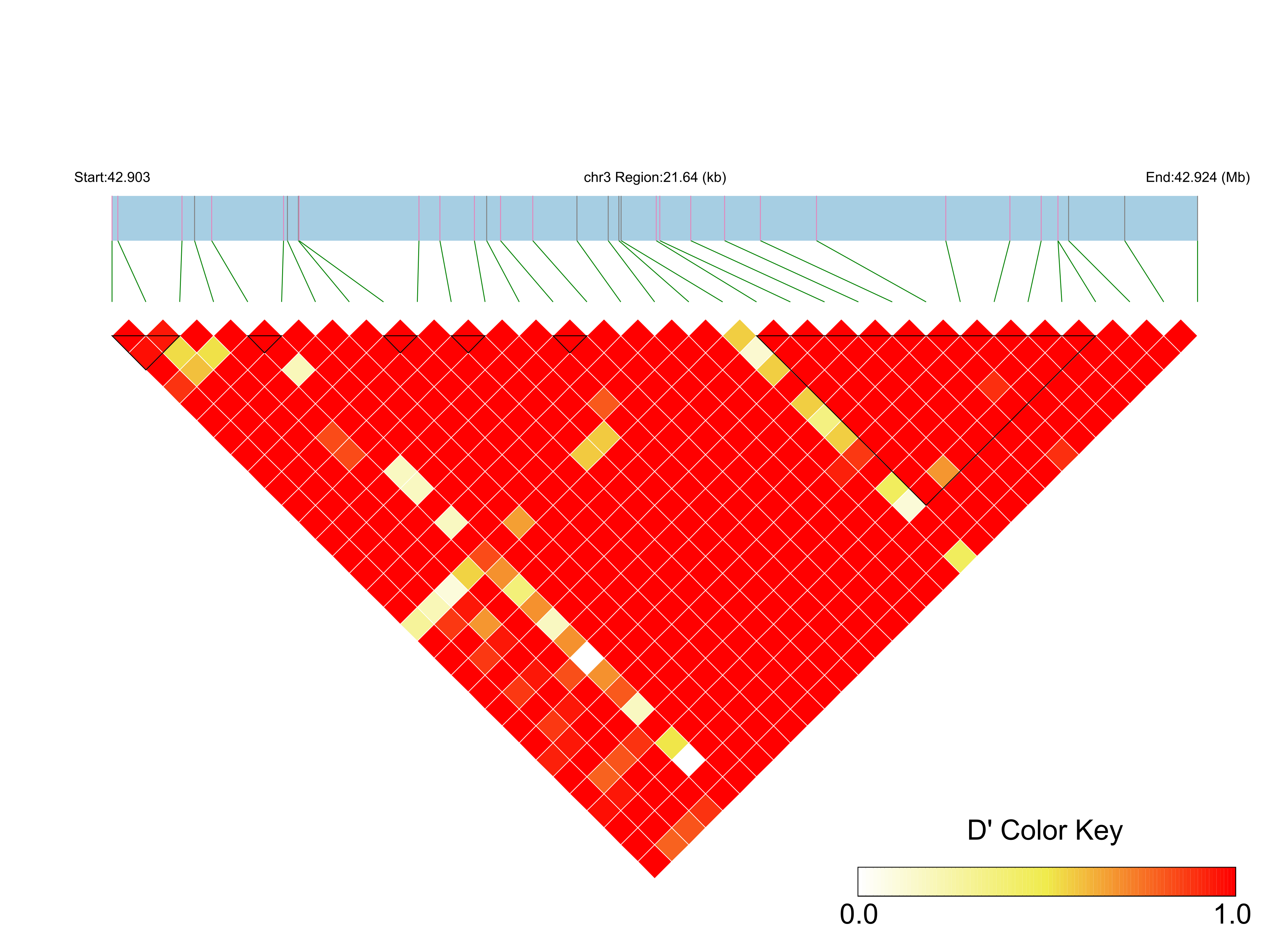 LD
