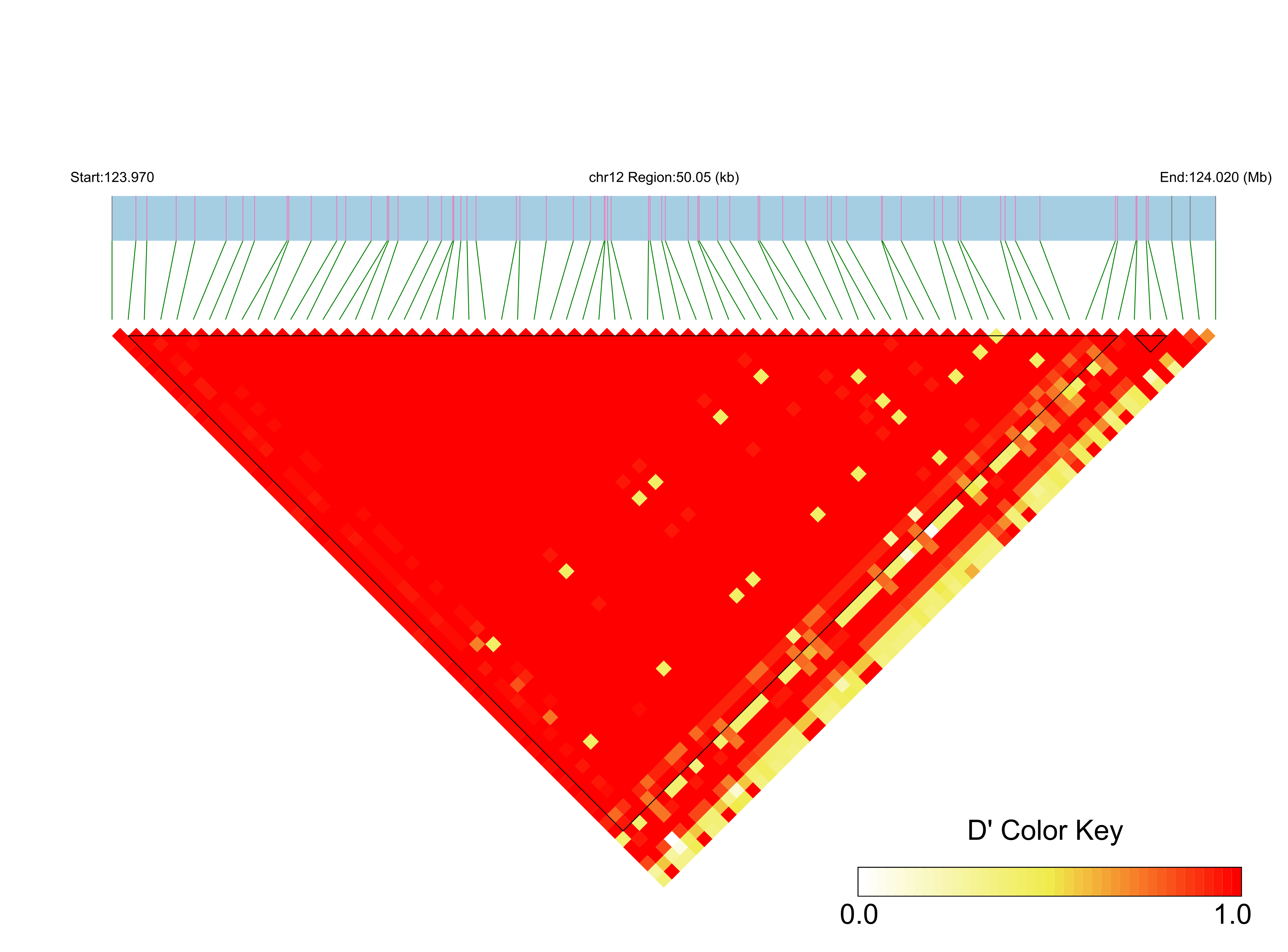LD