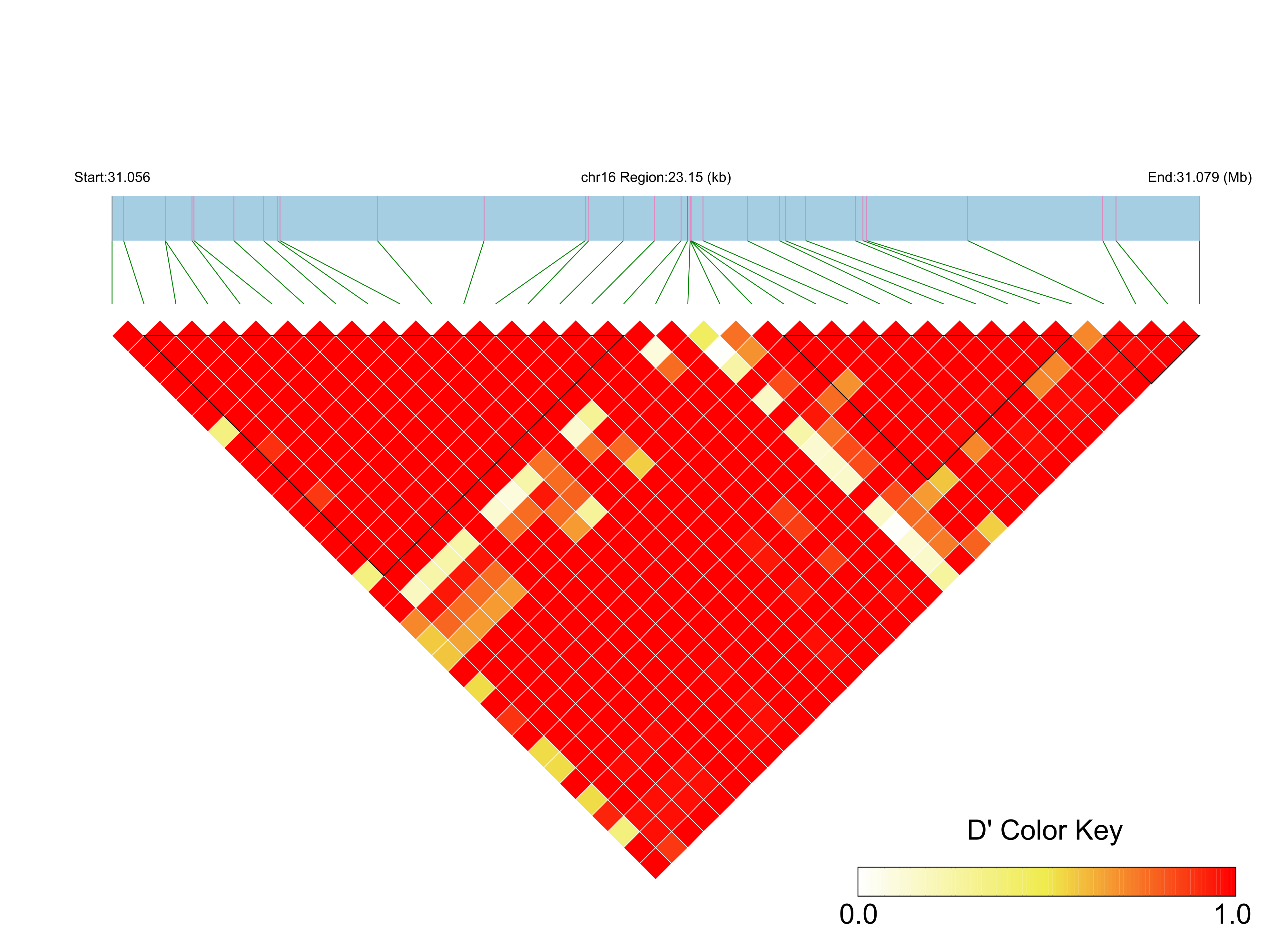 LD