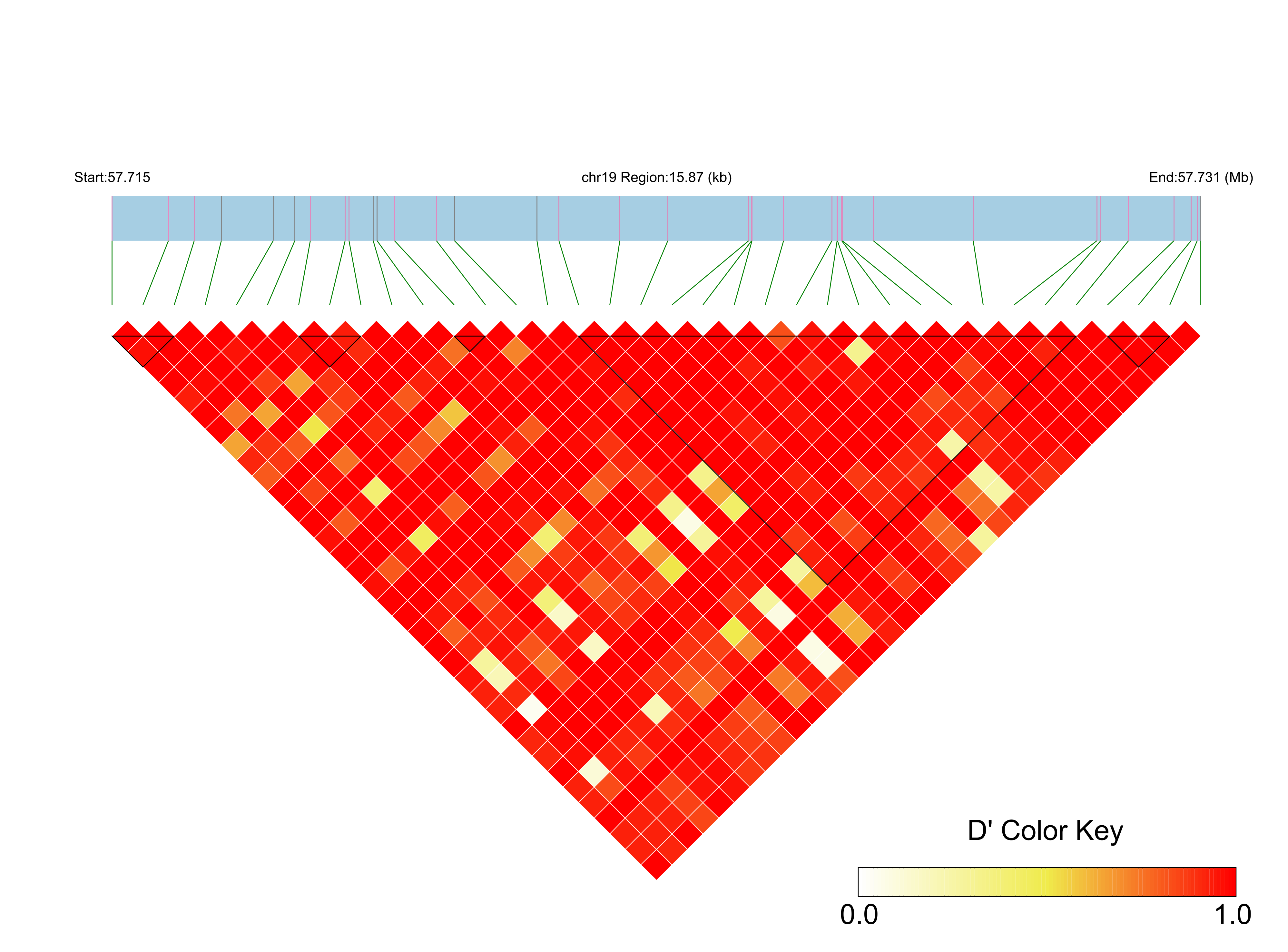LD