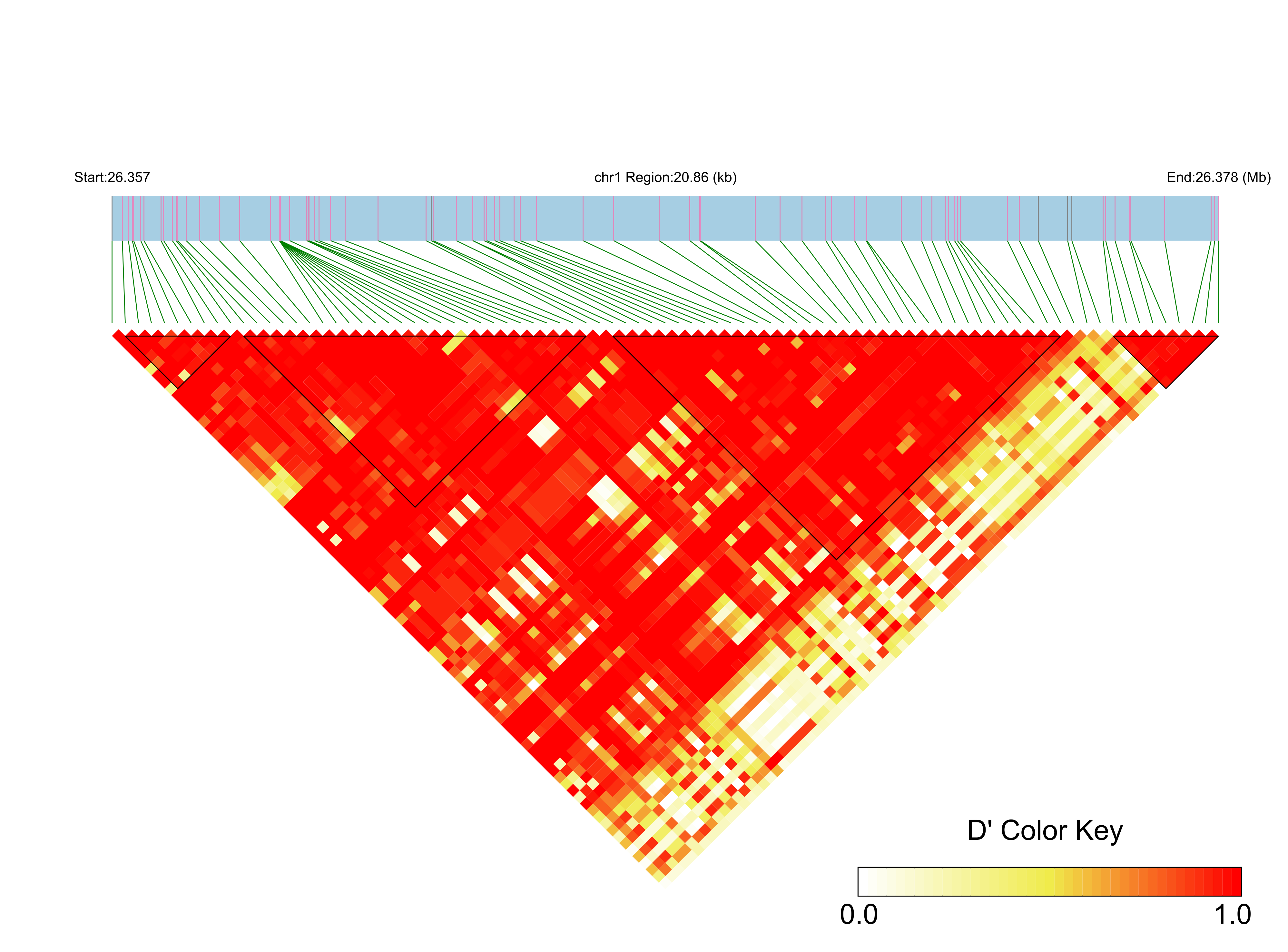 LD