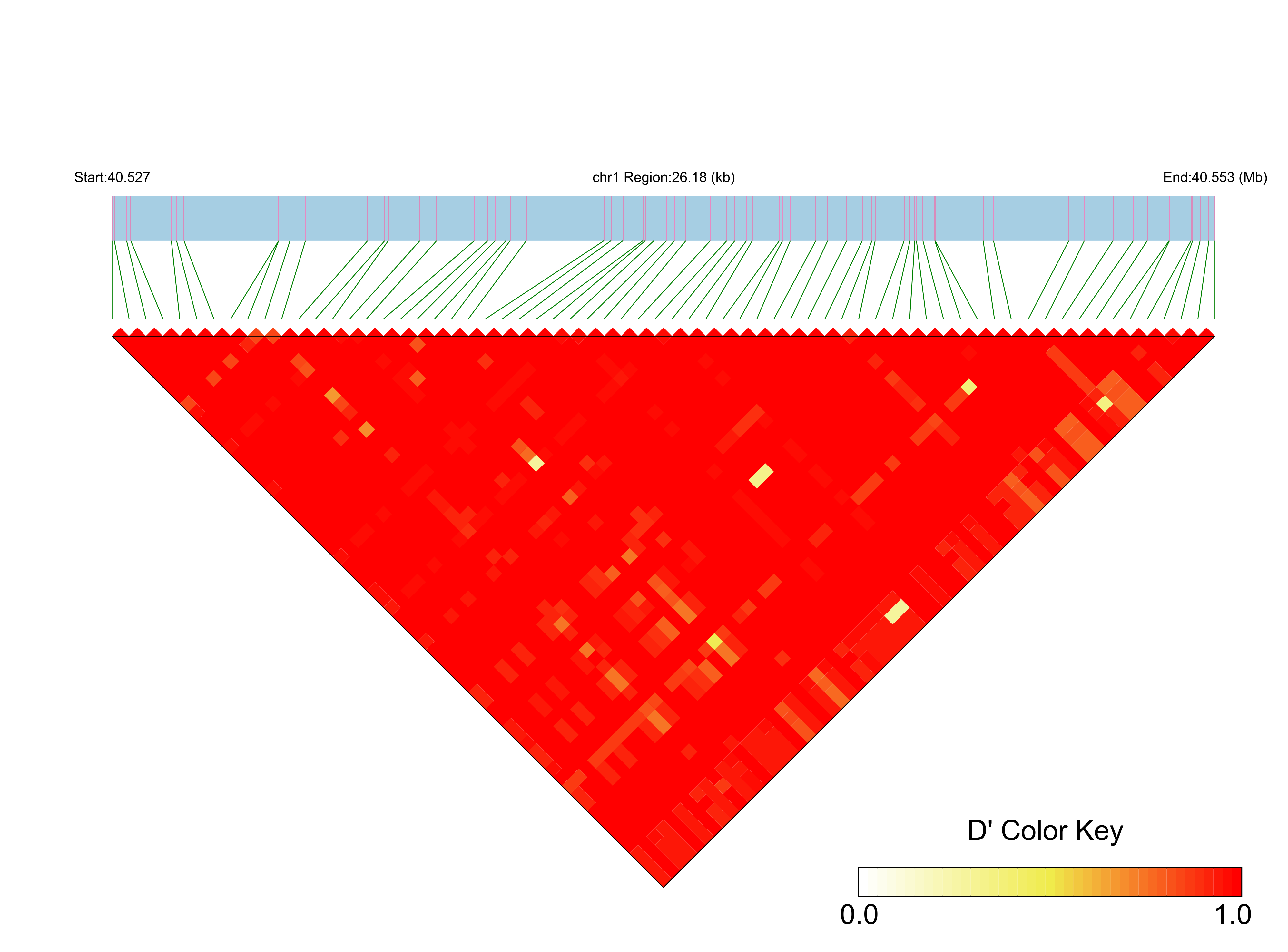 LD