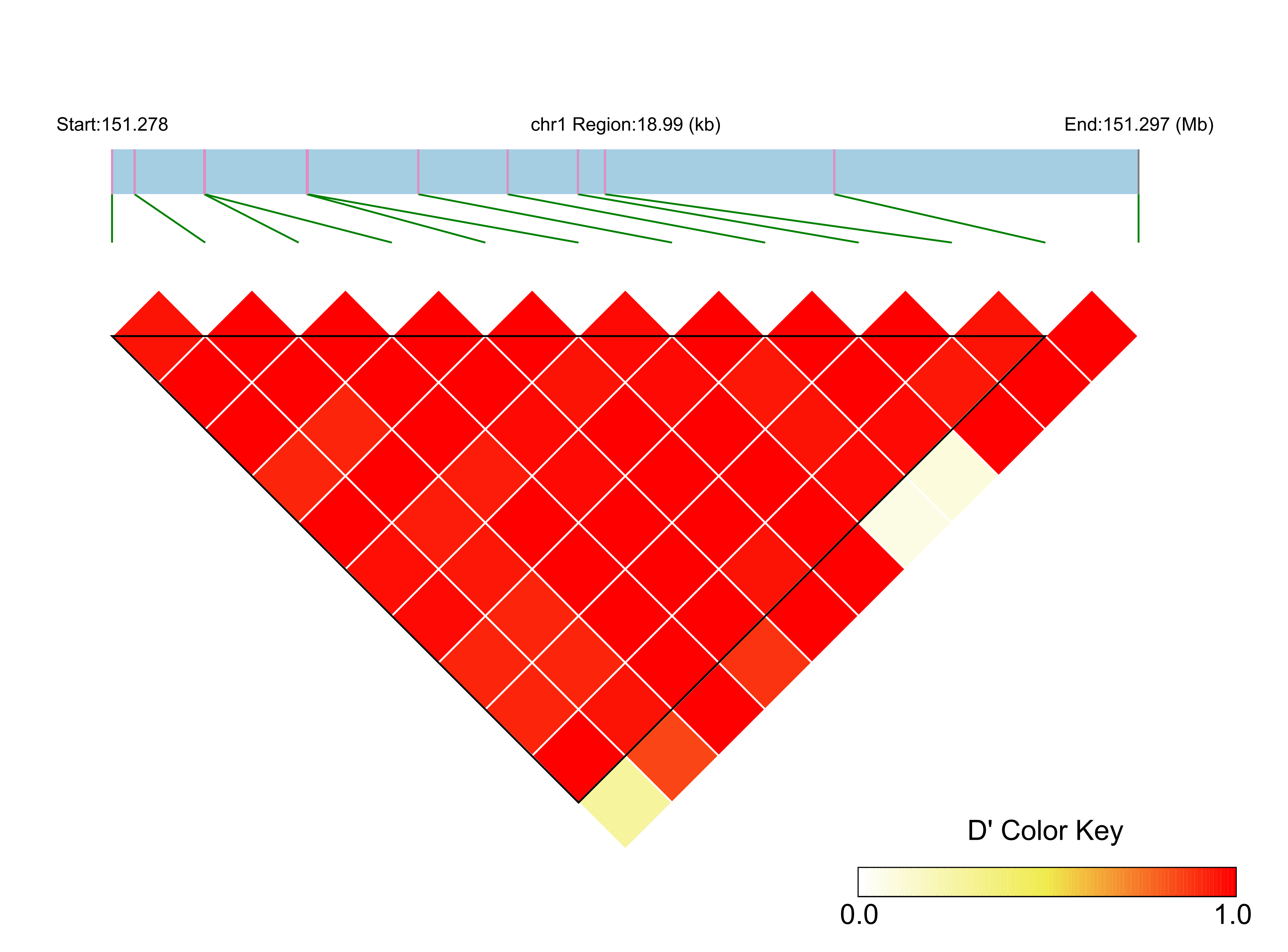 LD