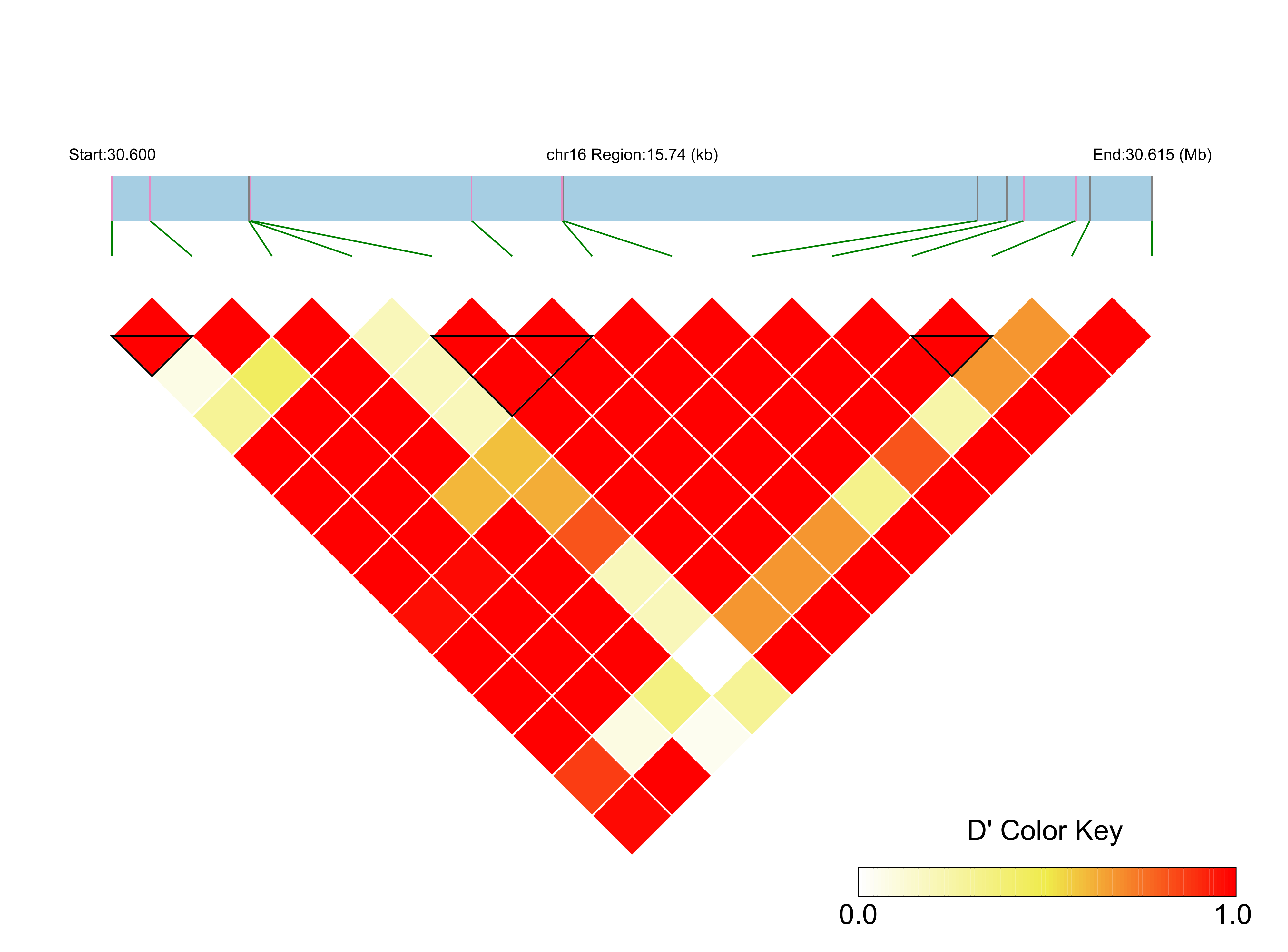 LD