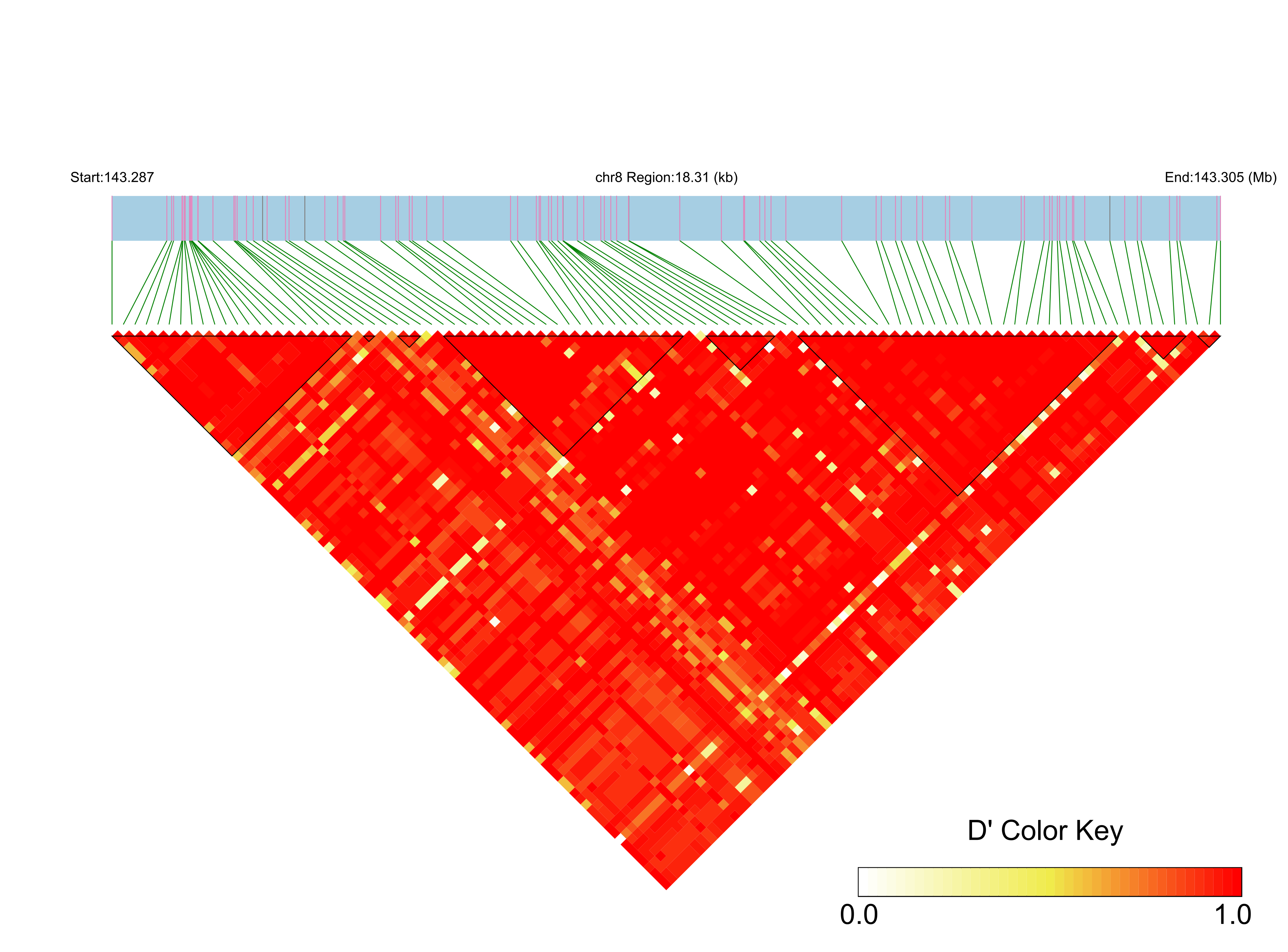 LD