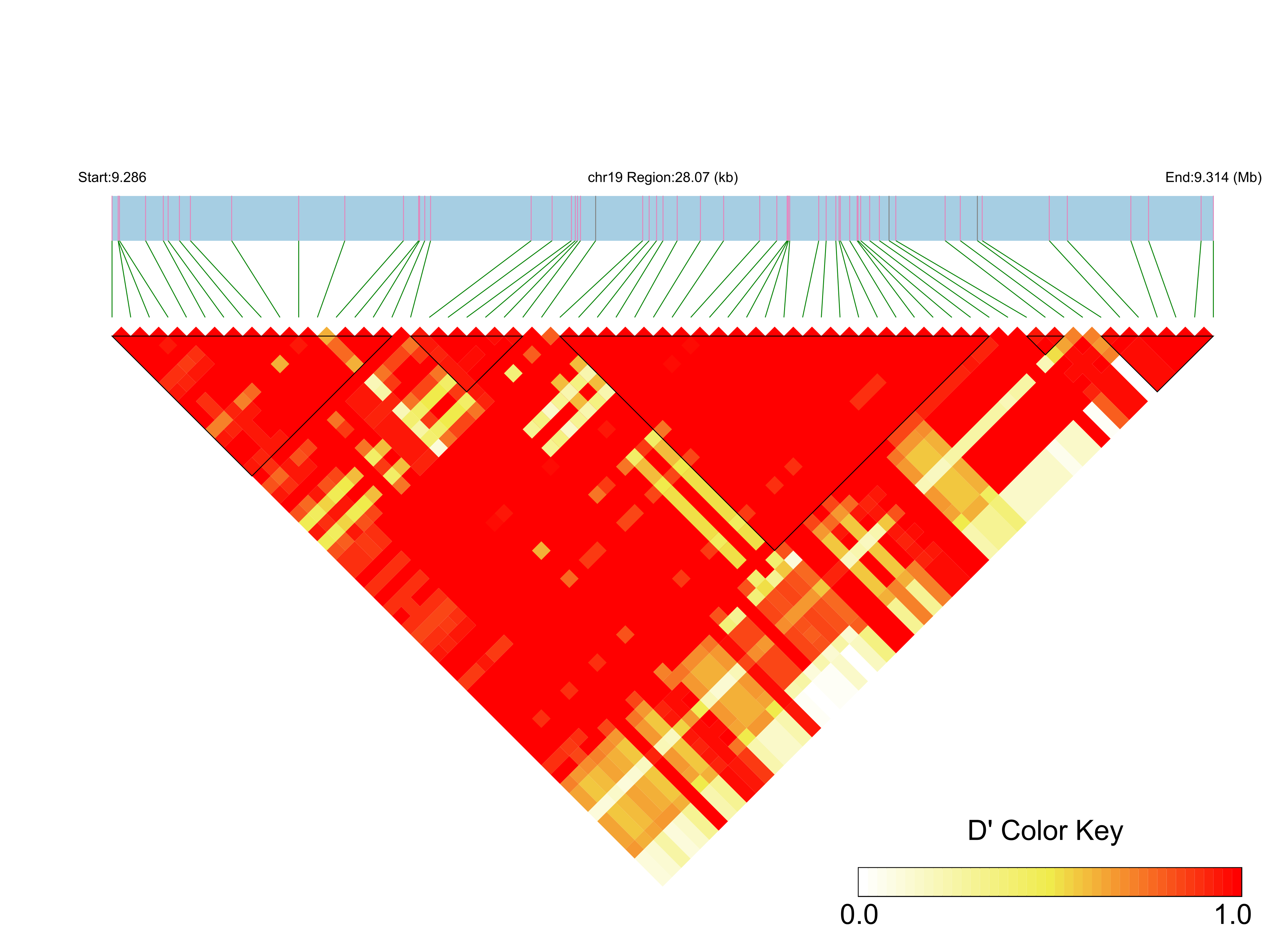 LD