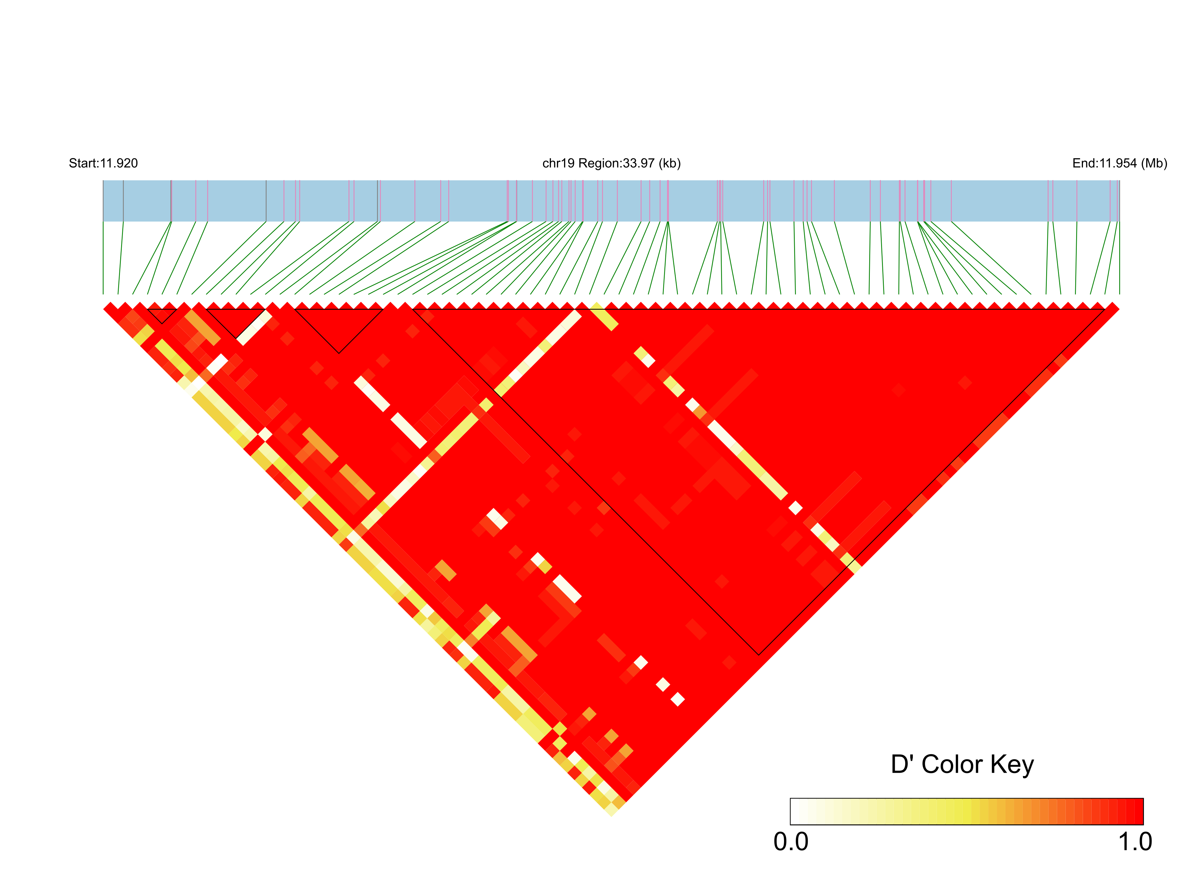 LD