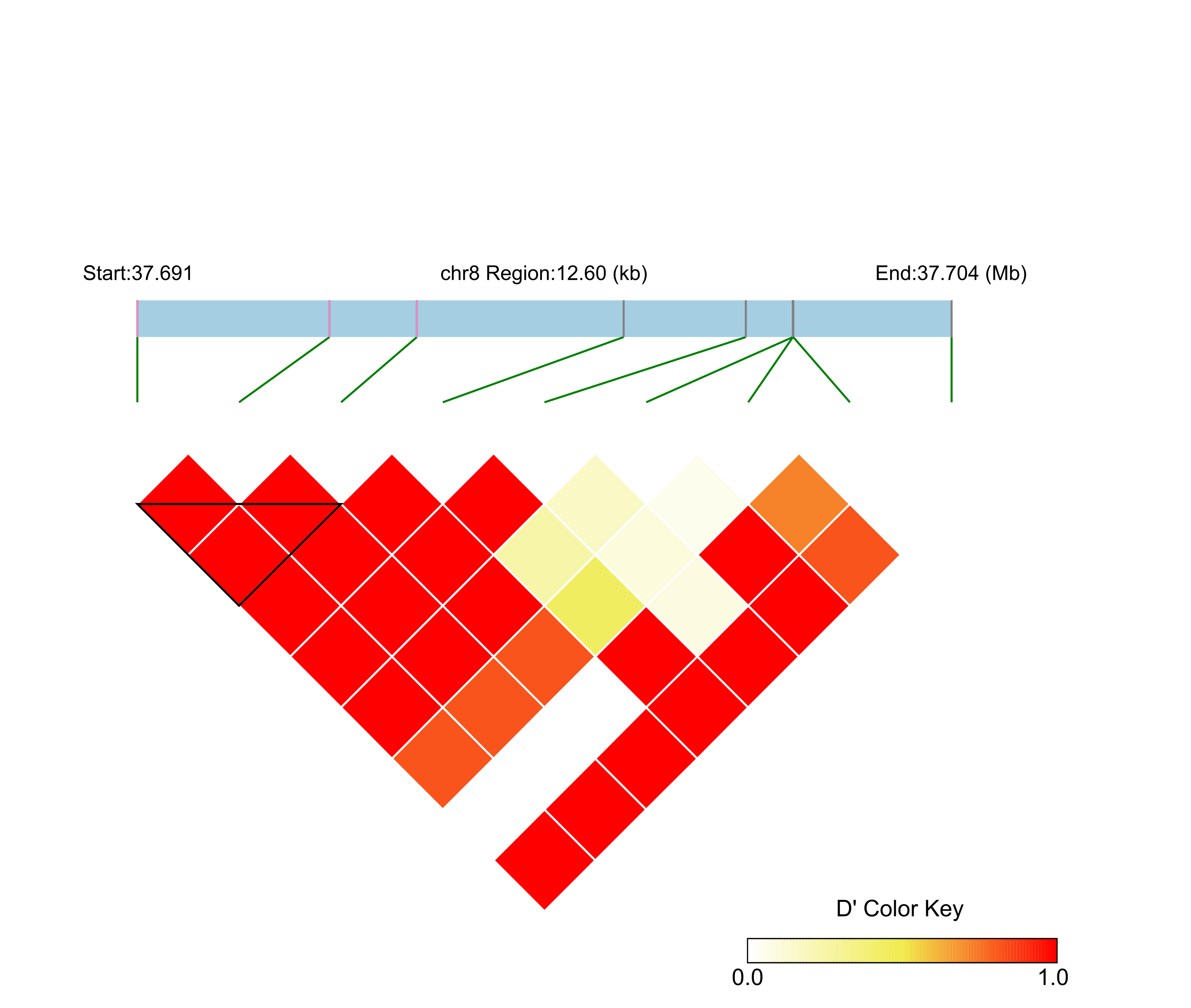 LD