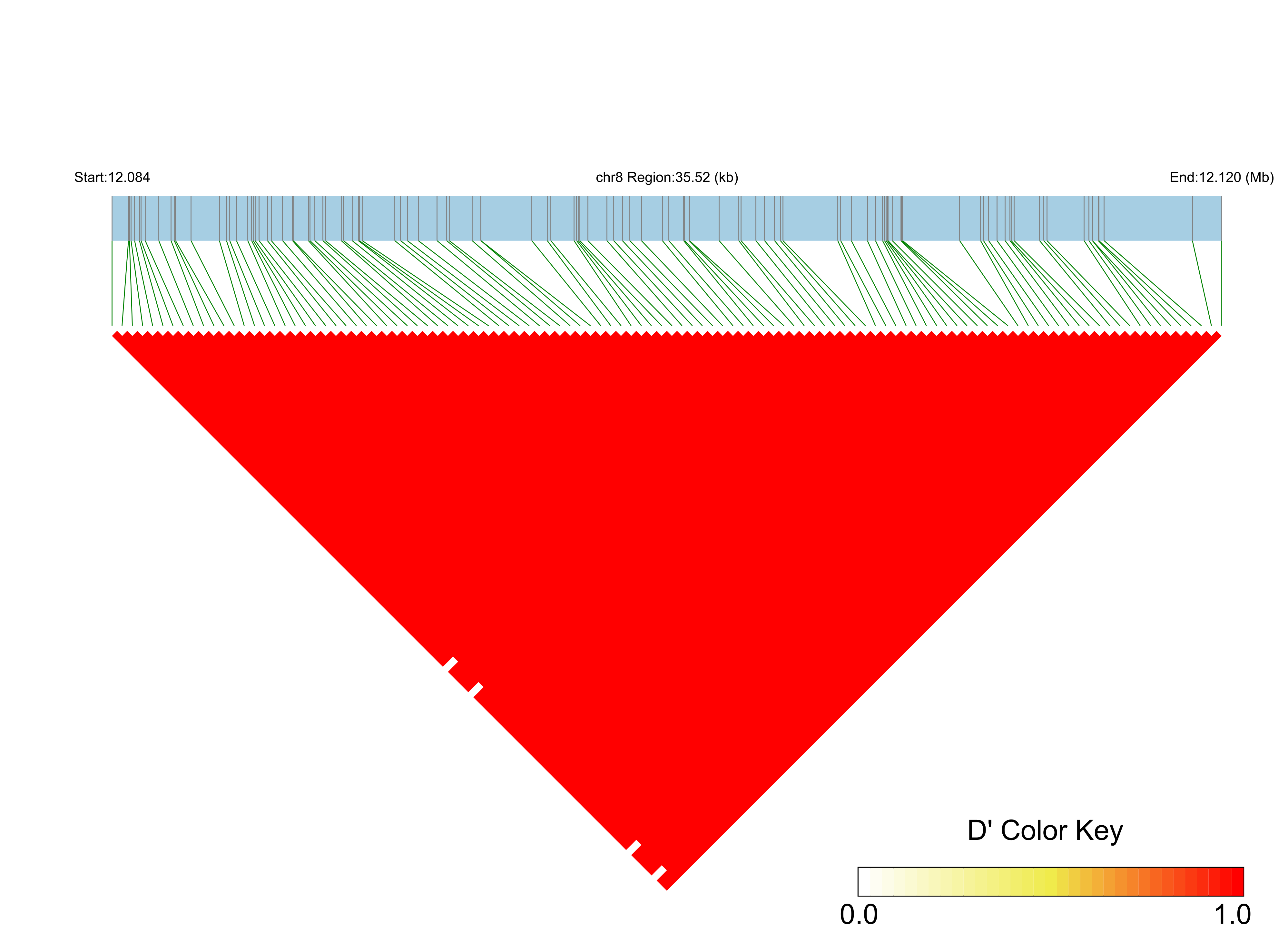 LD