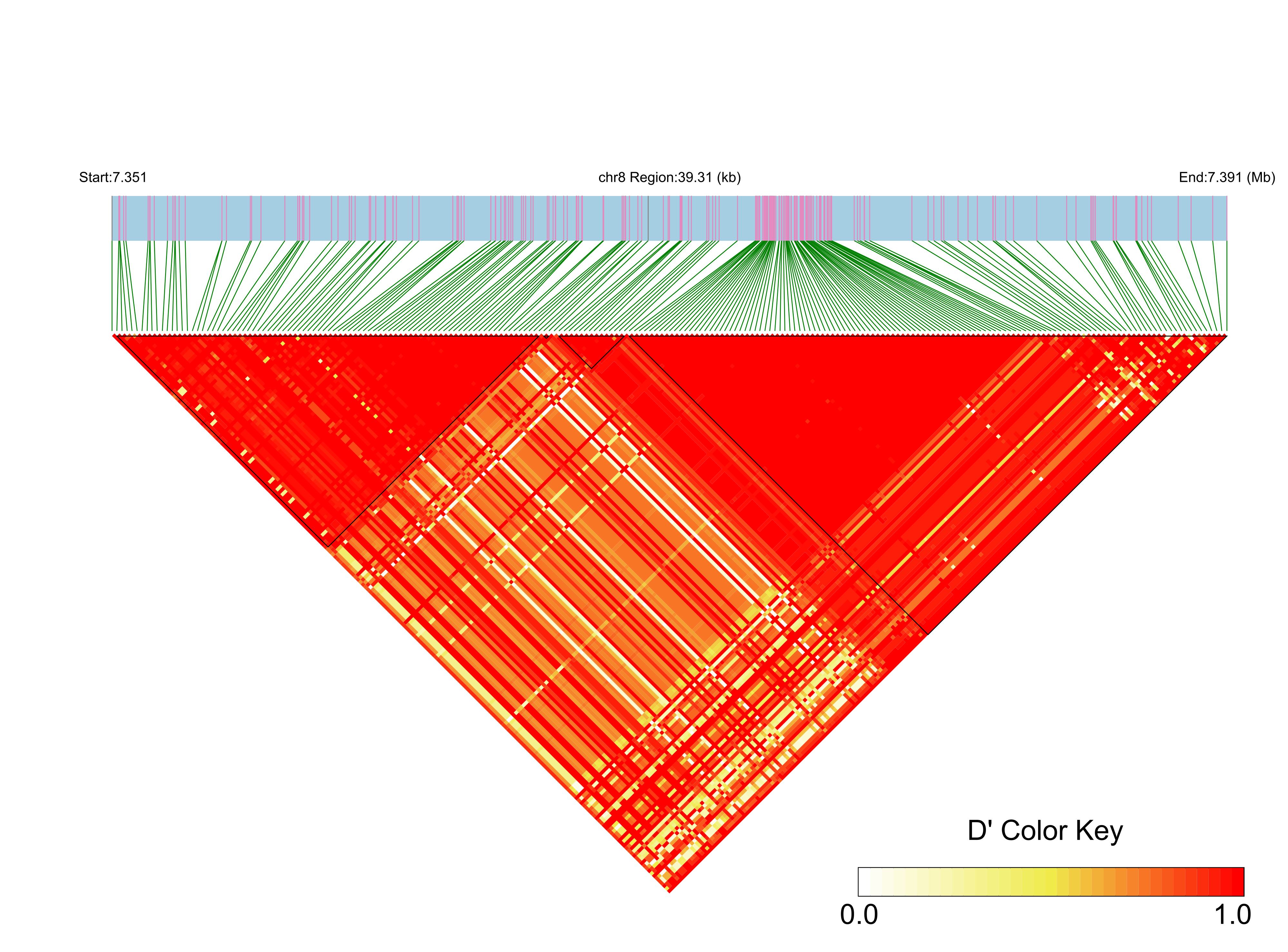 LD