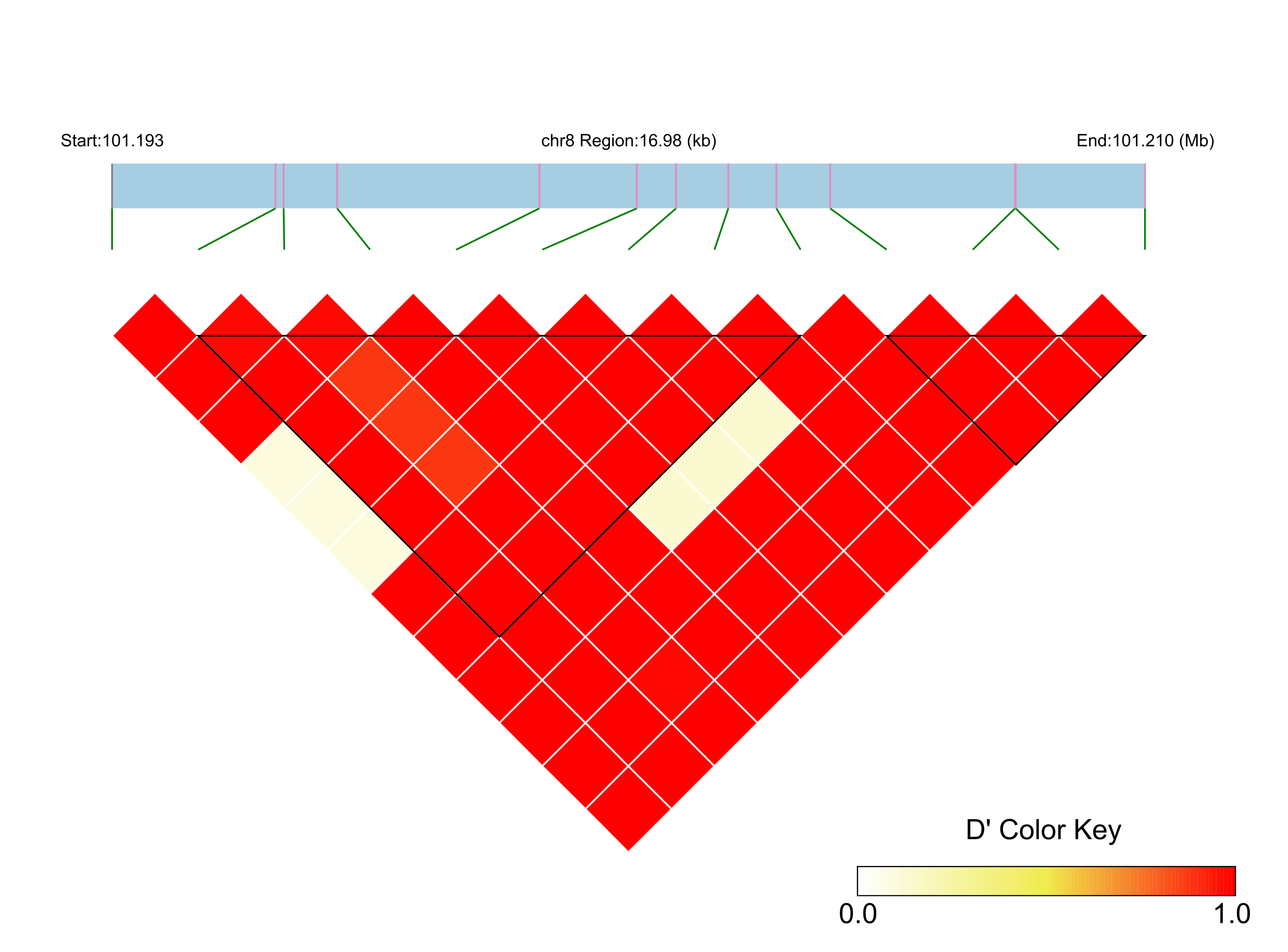 LD