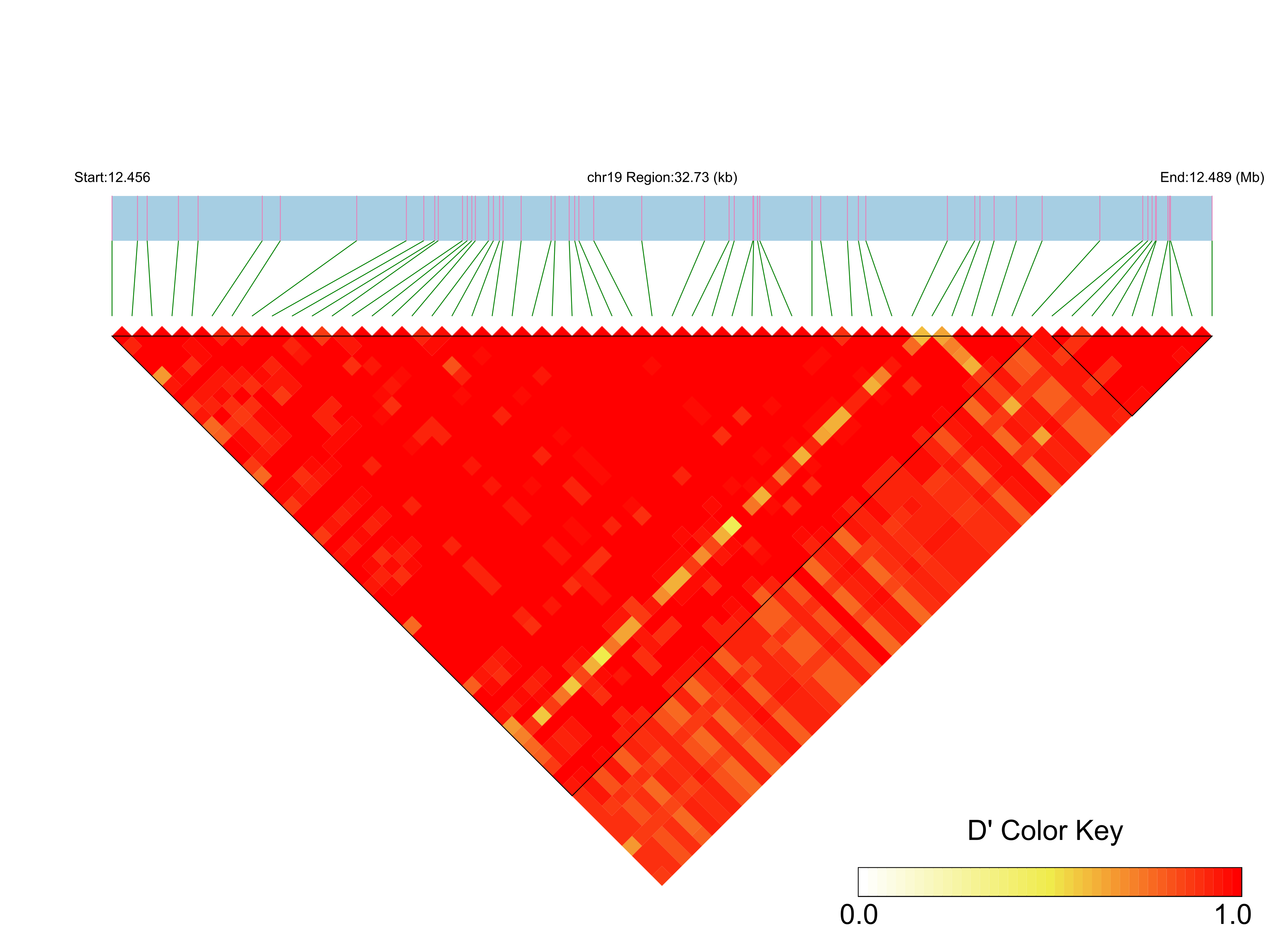 LD