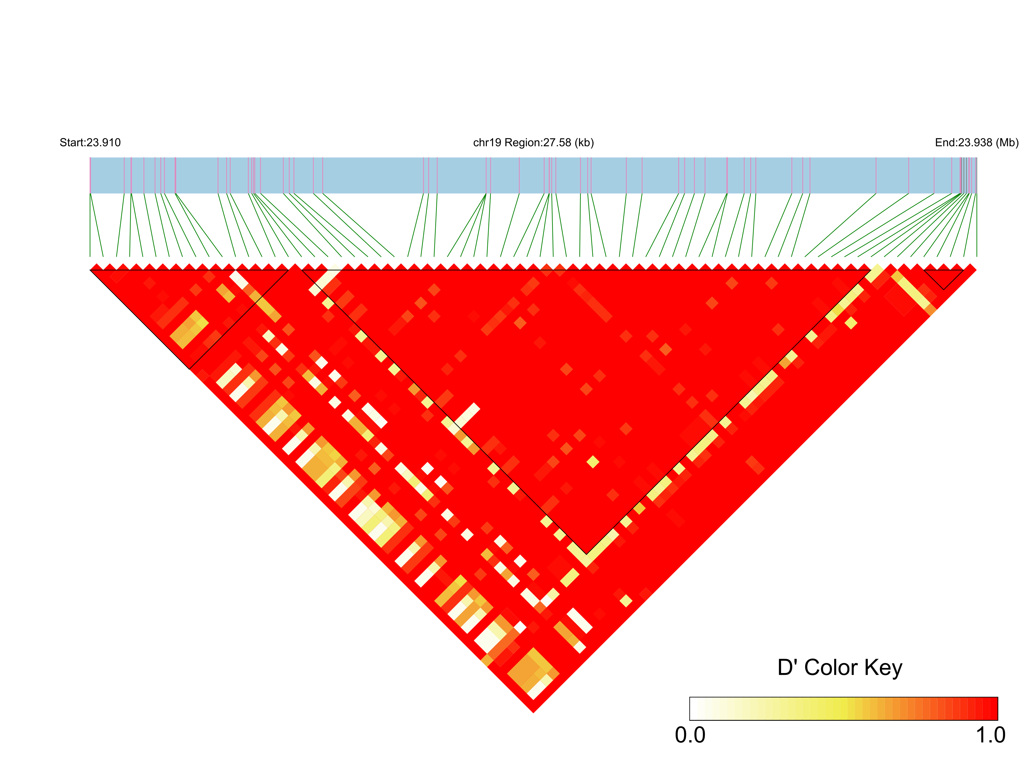 LD