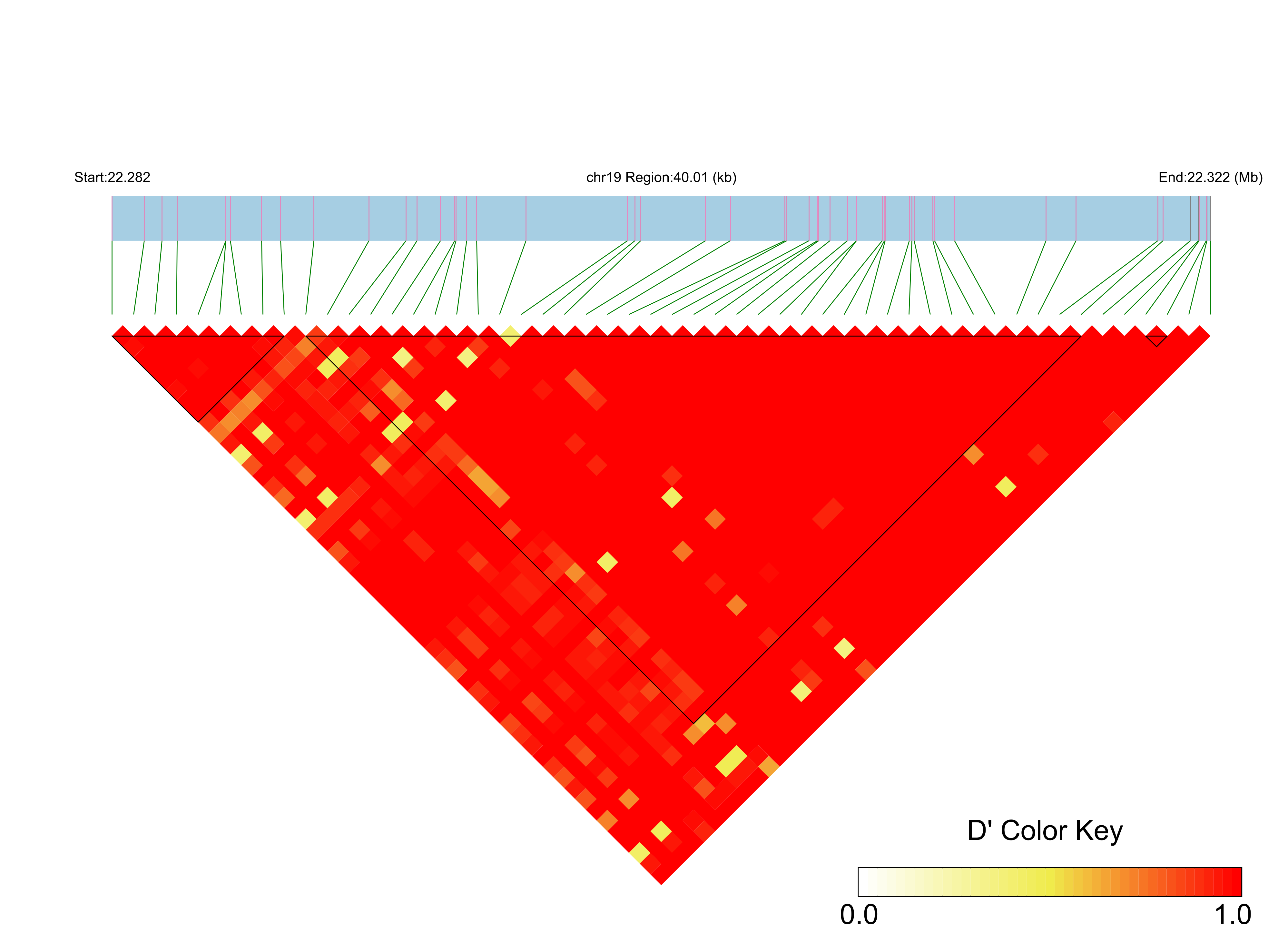 LD
