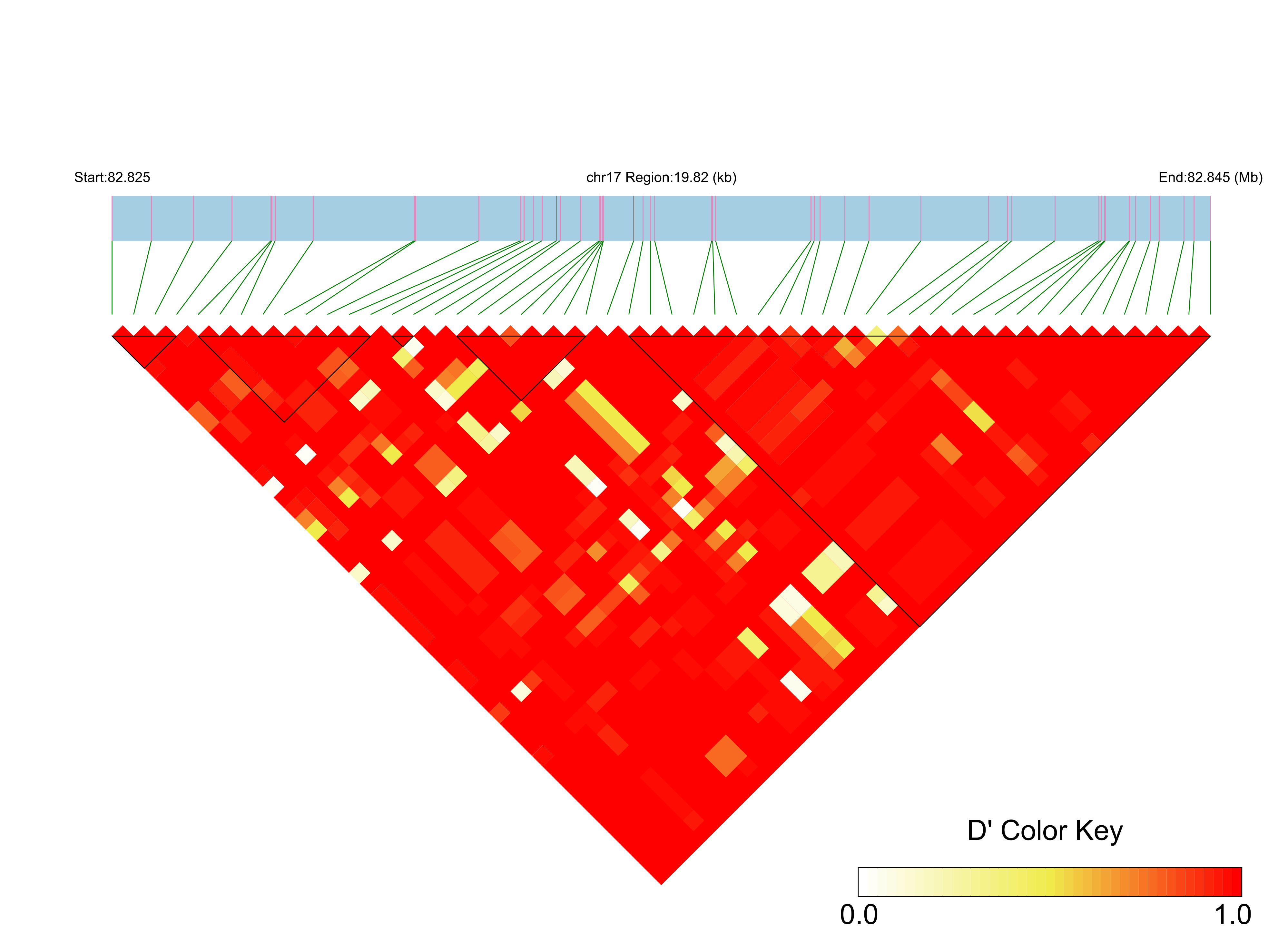 LD