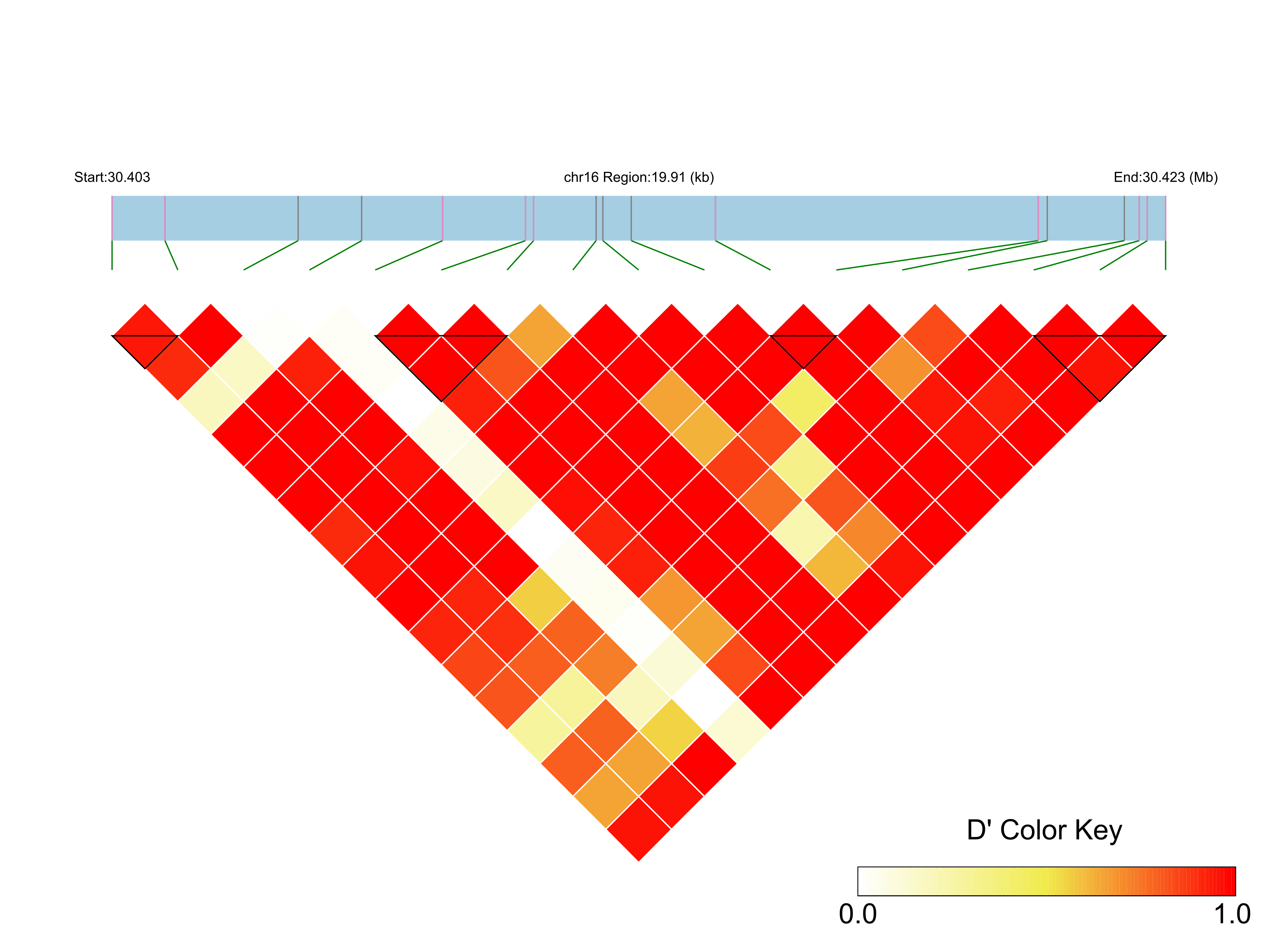 LD