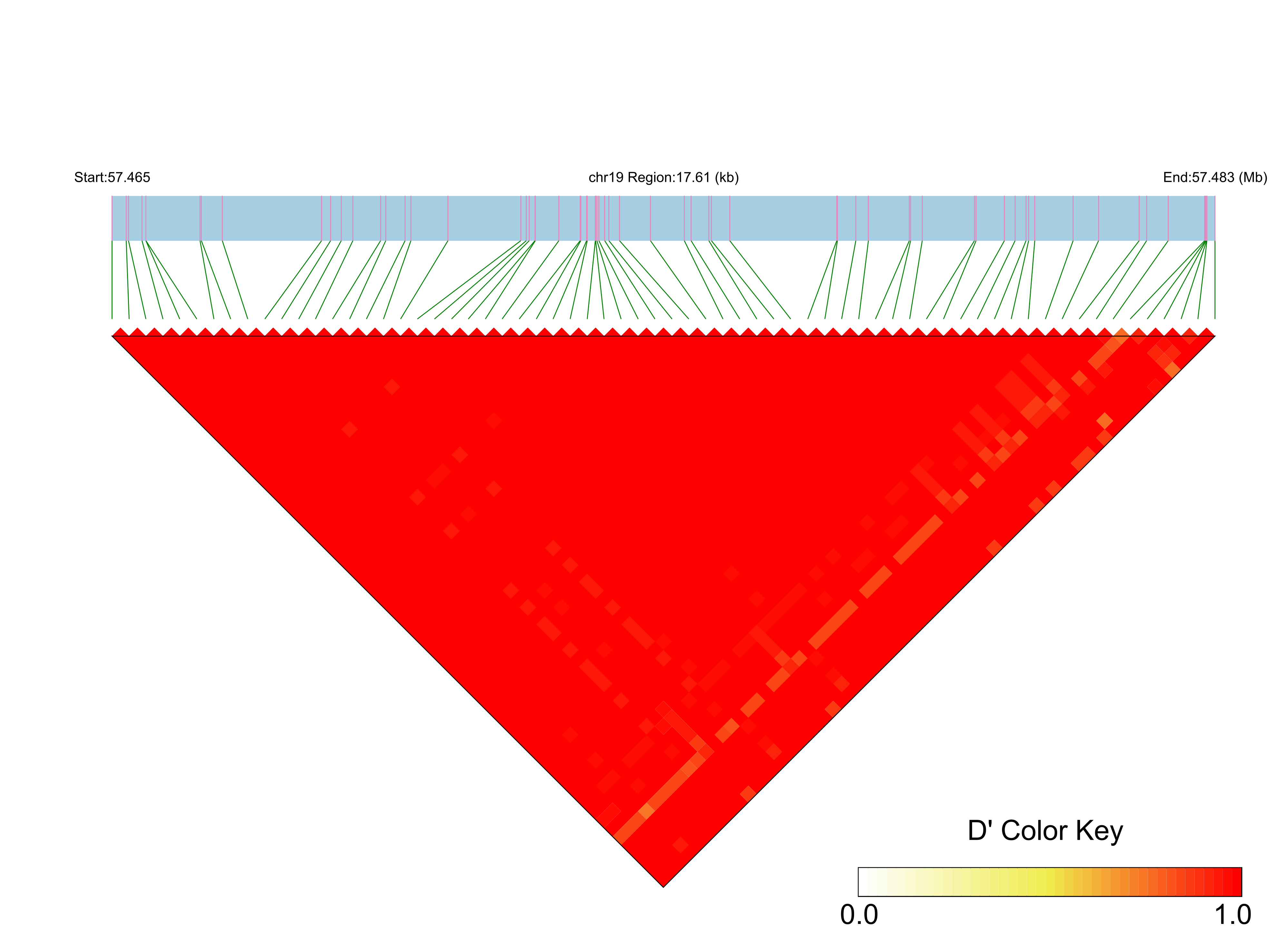 LD