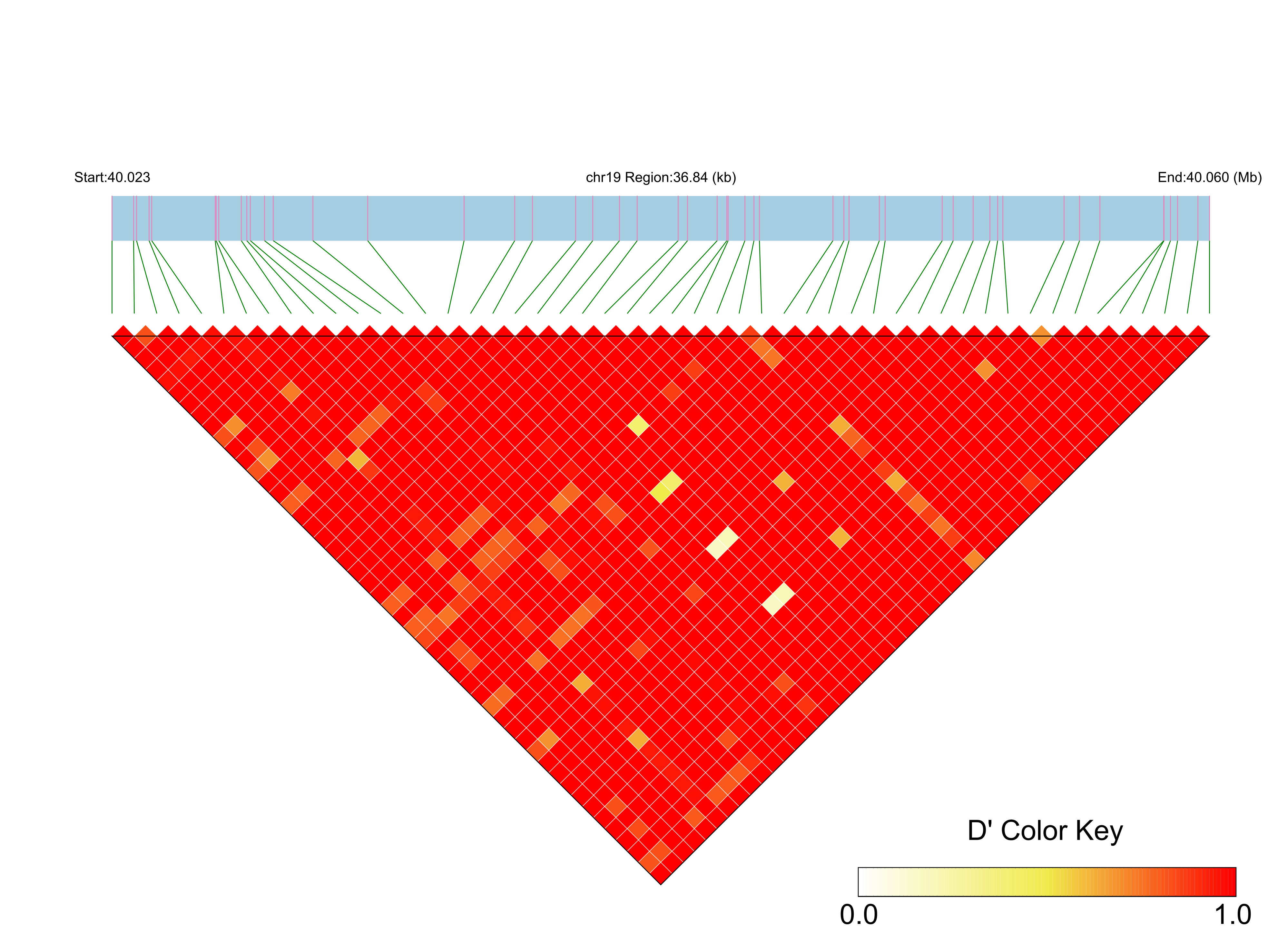 LD