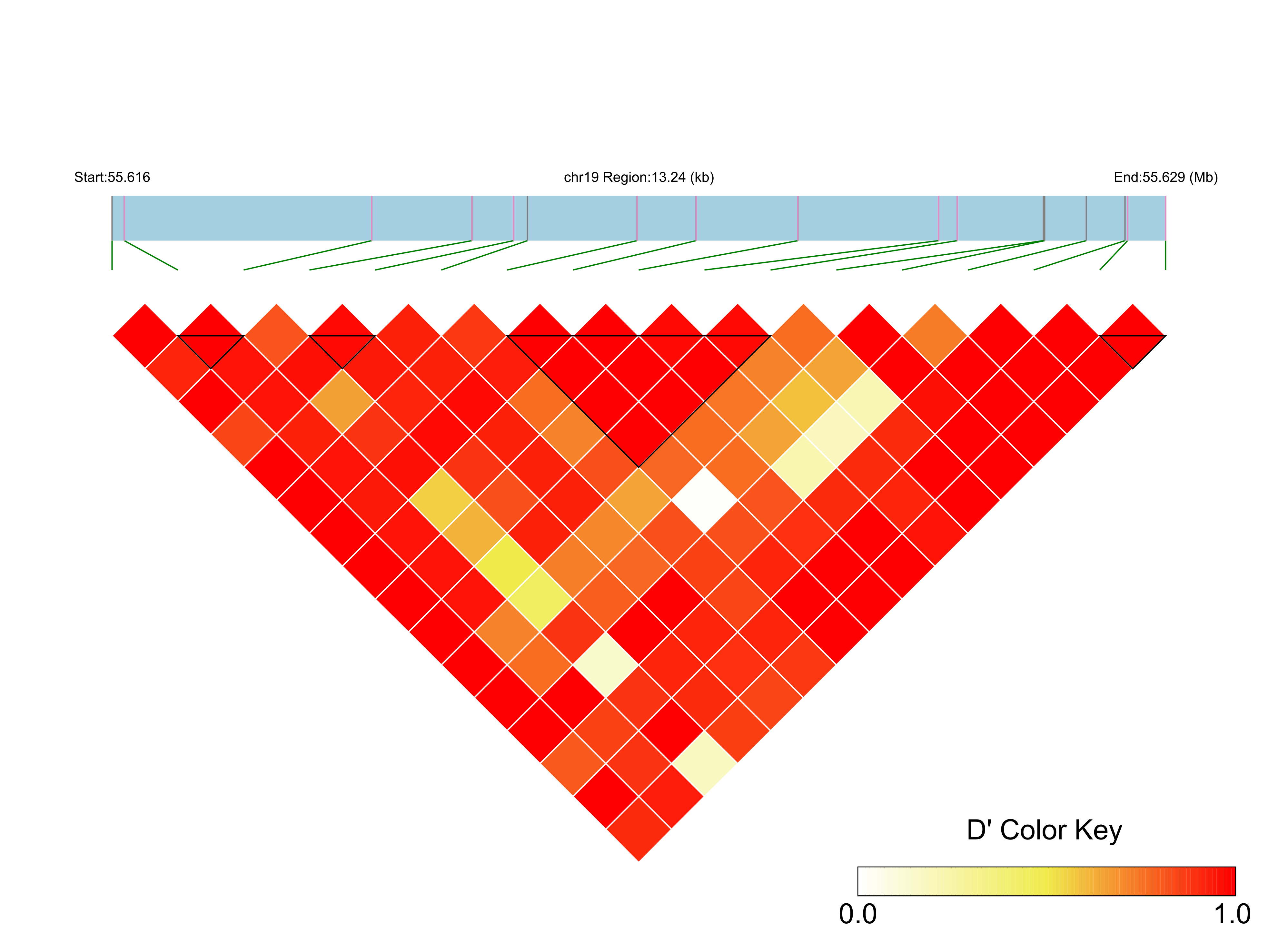 LD