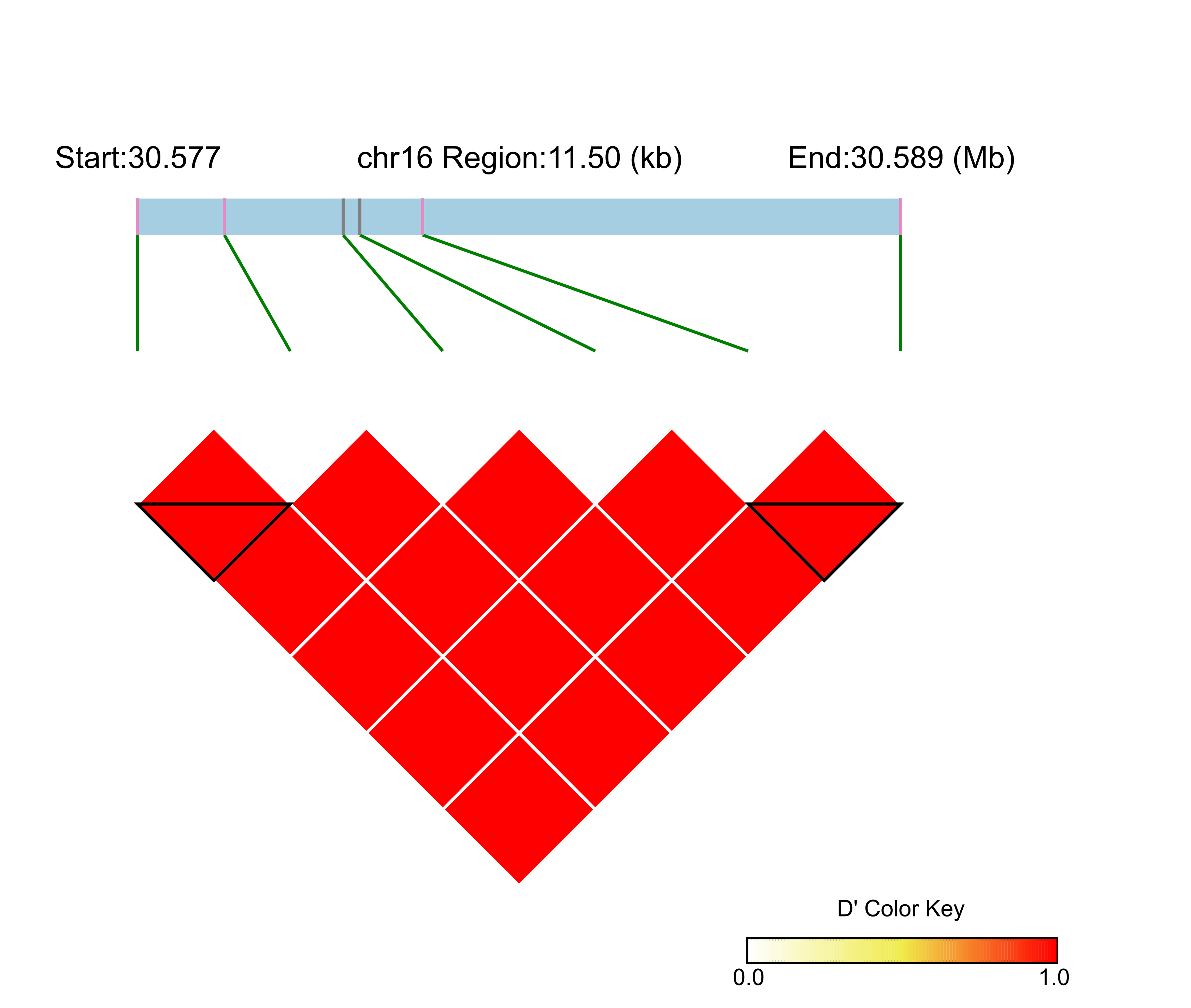 LD