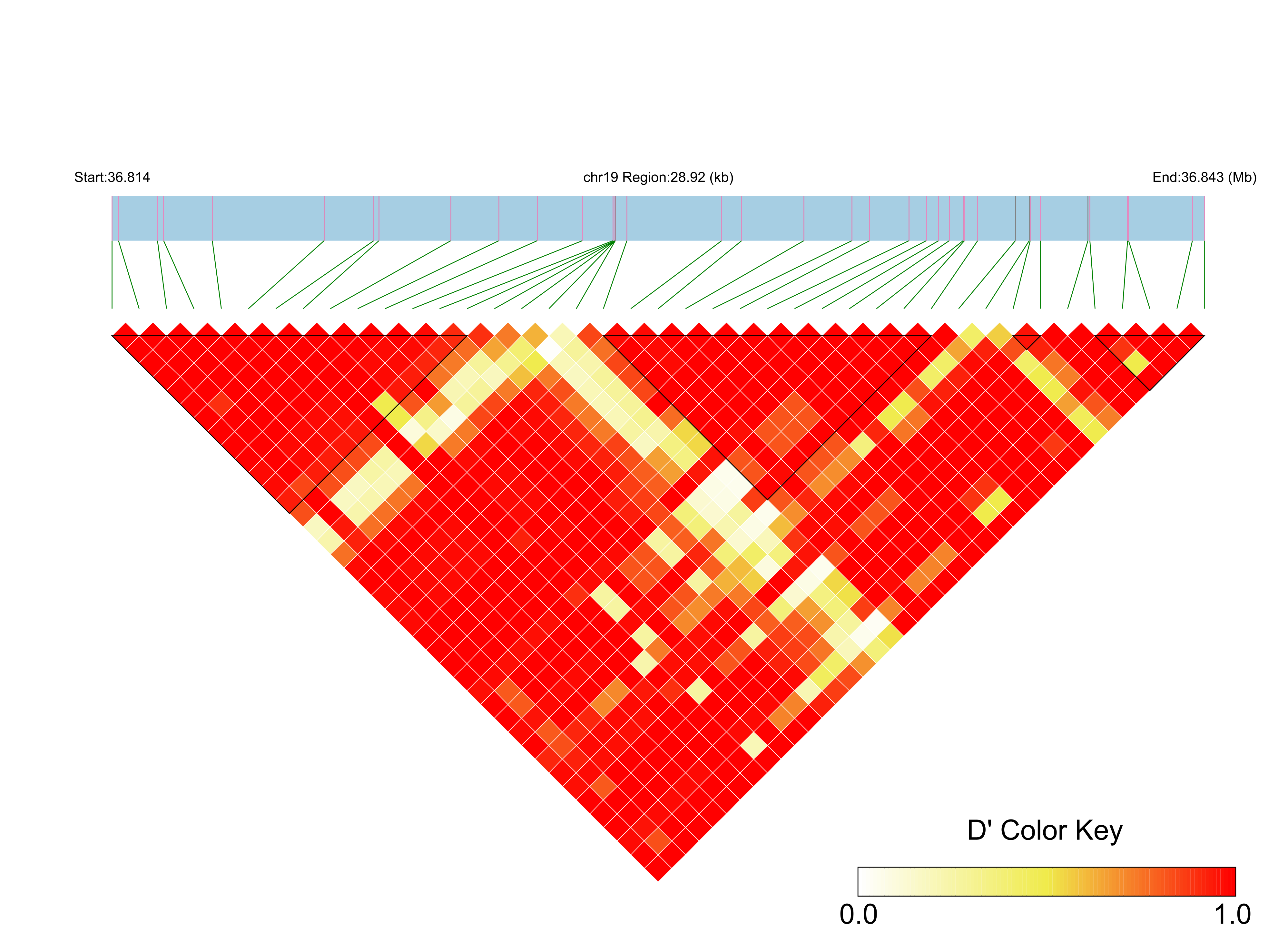 LD