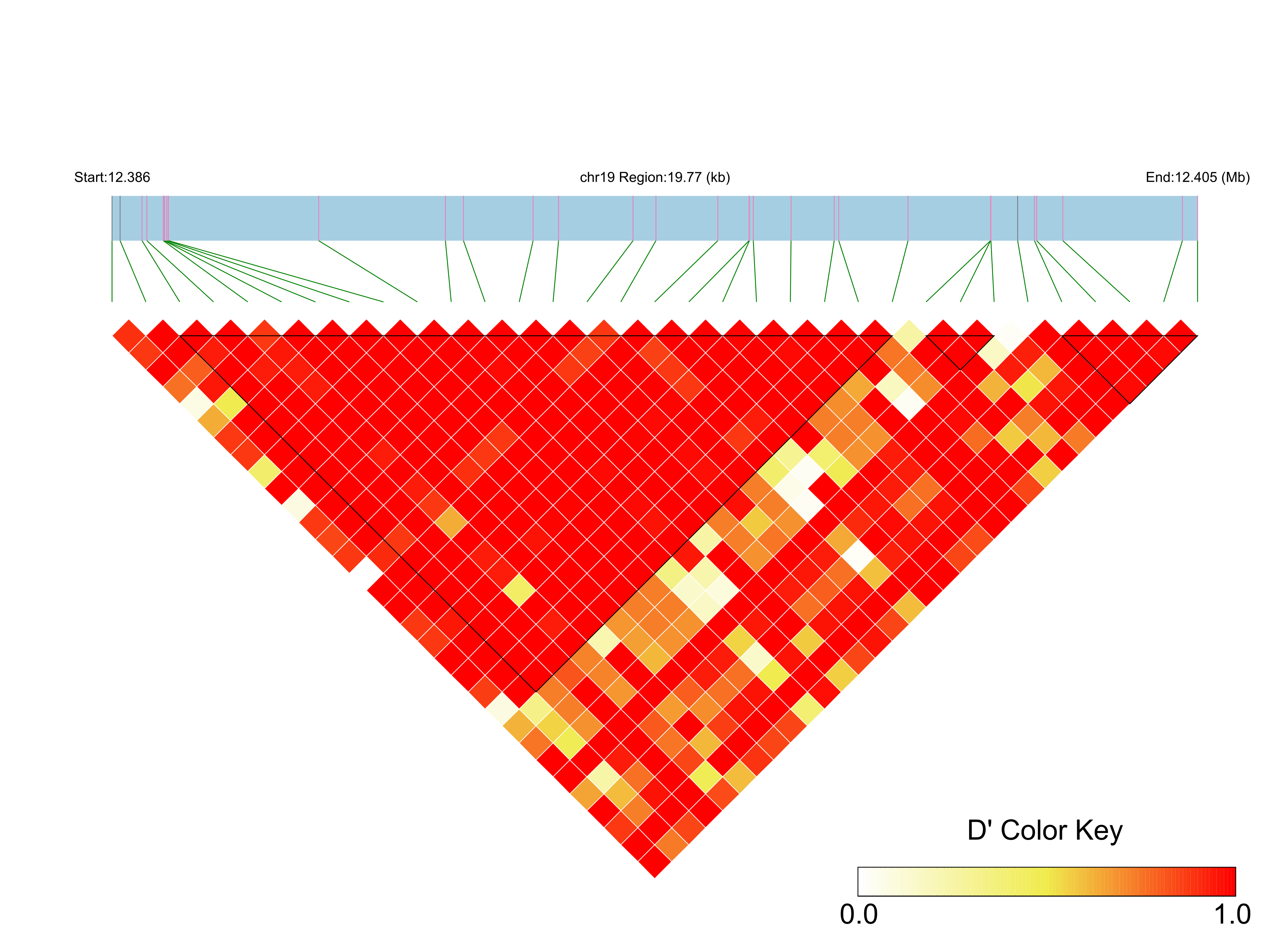 LD