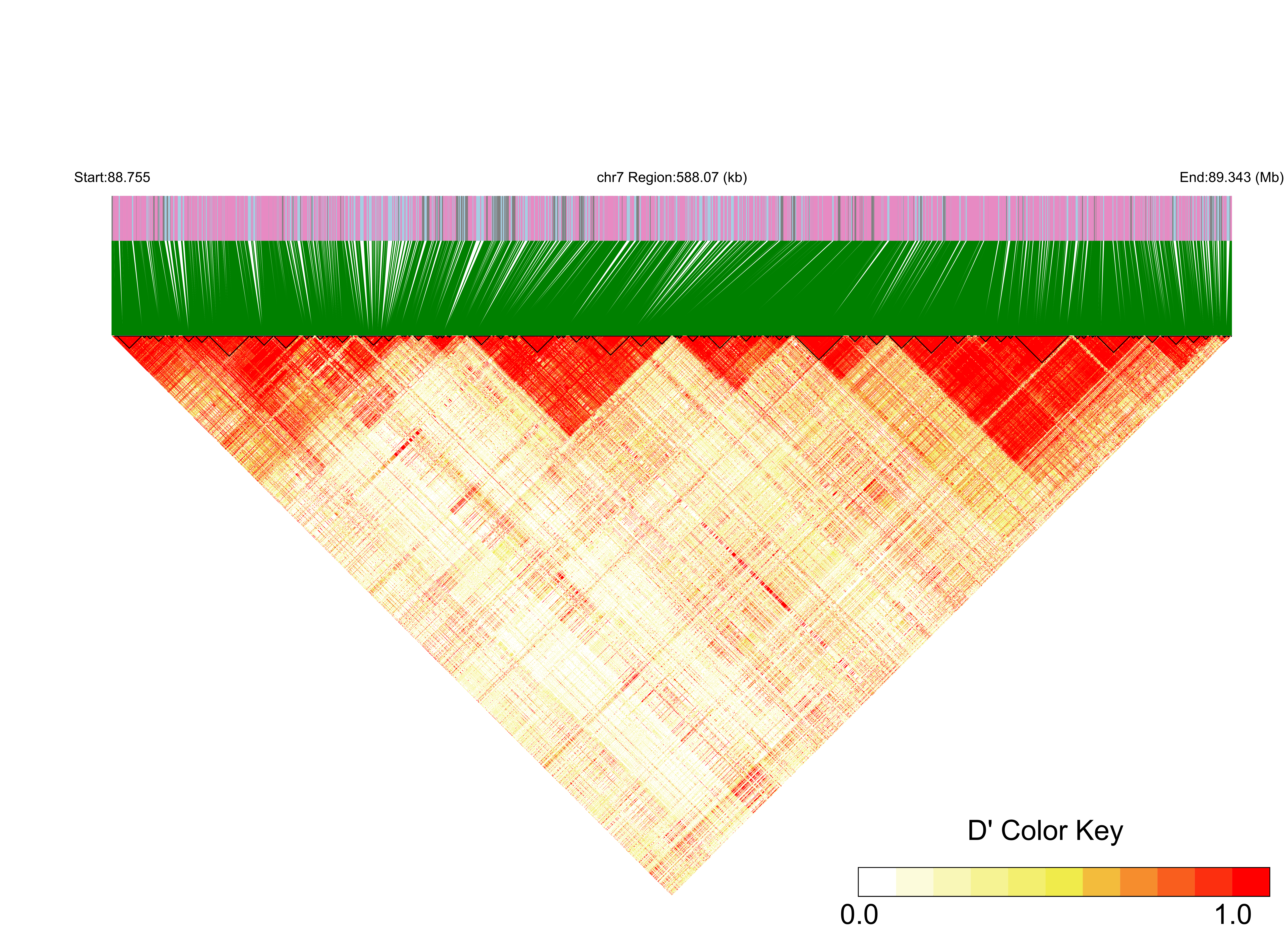 LD