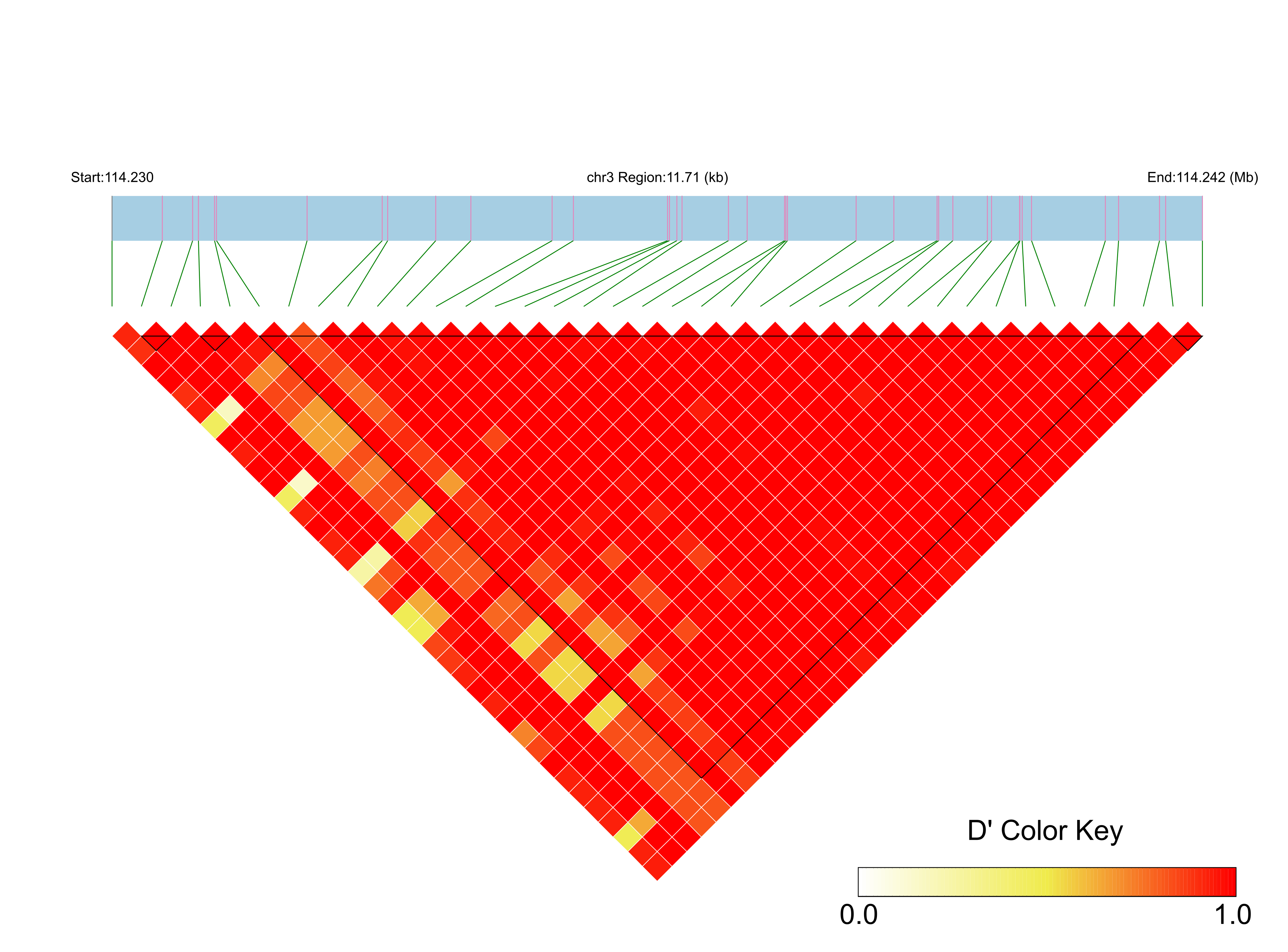 LD
