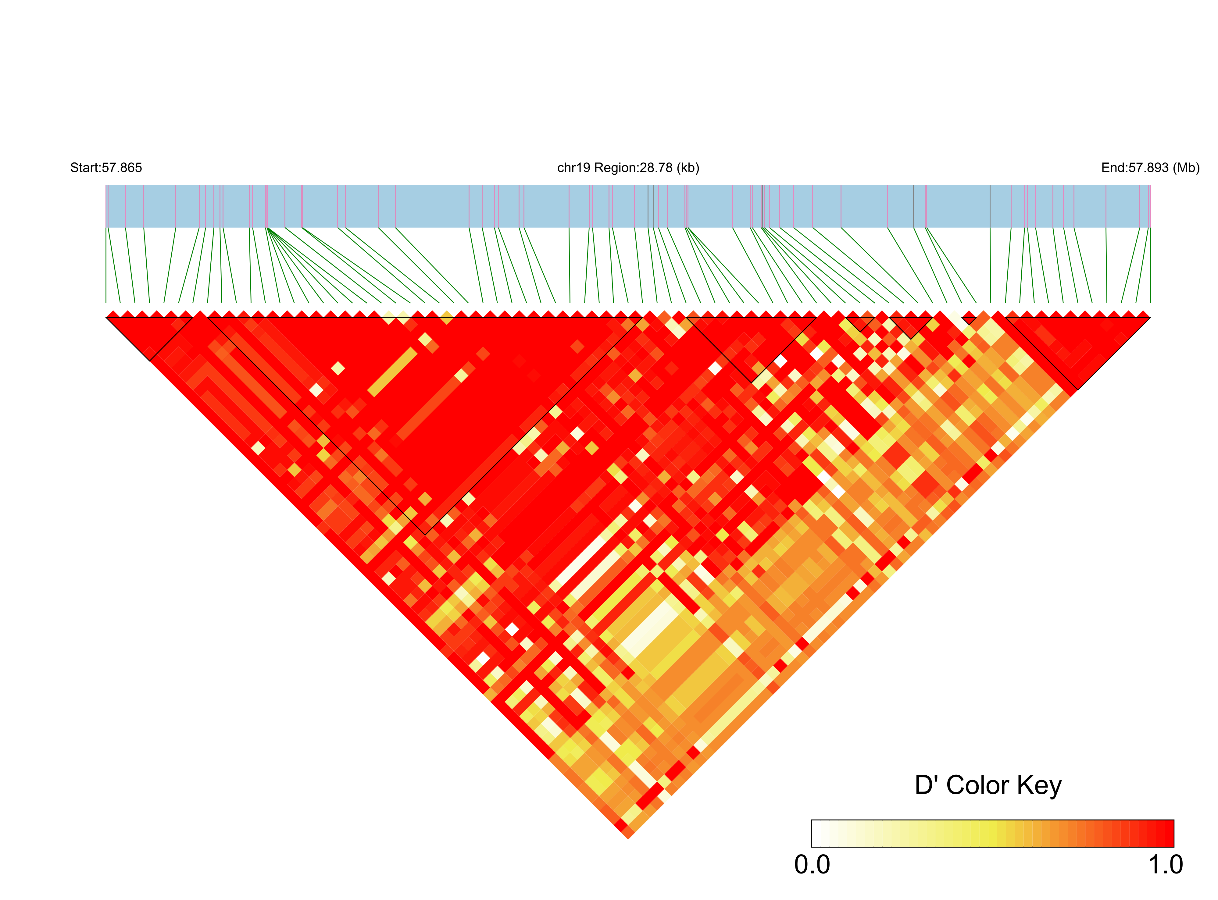 LD