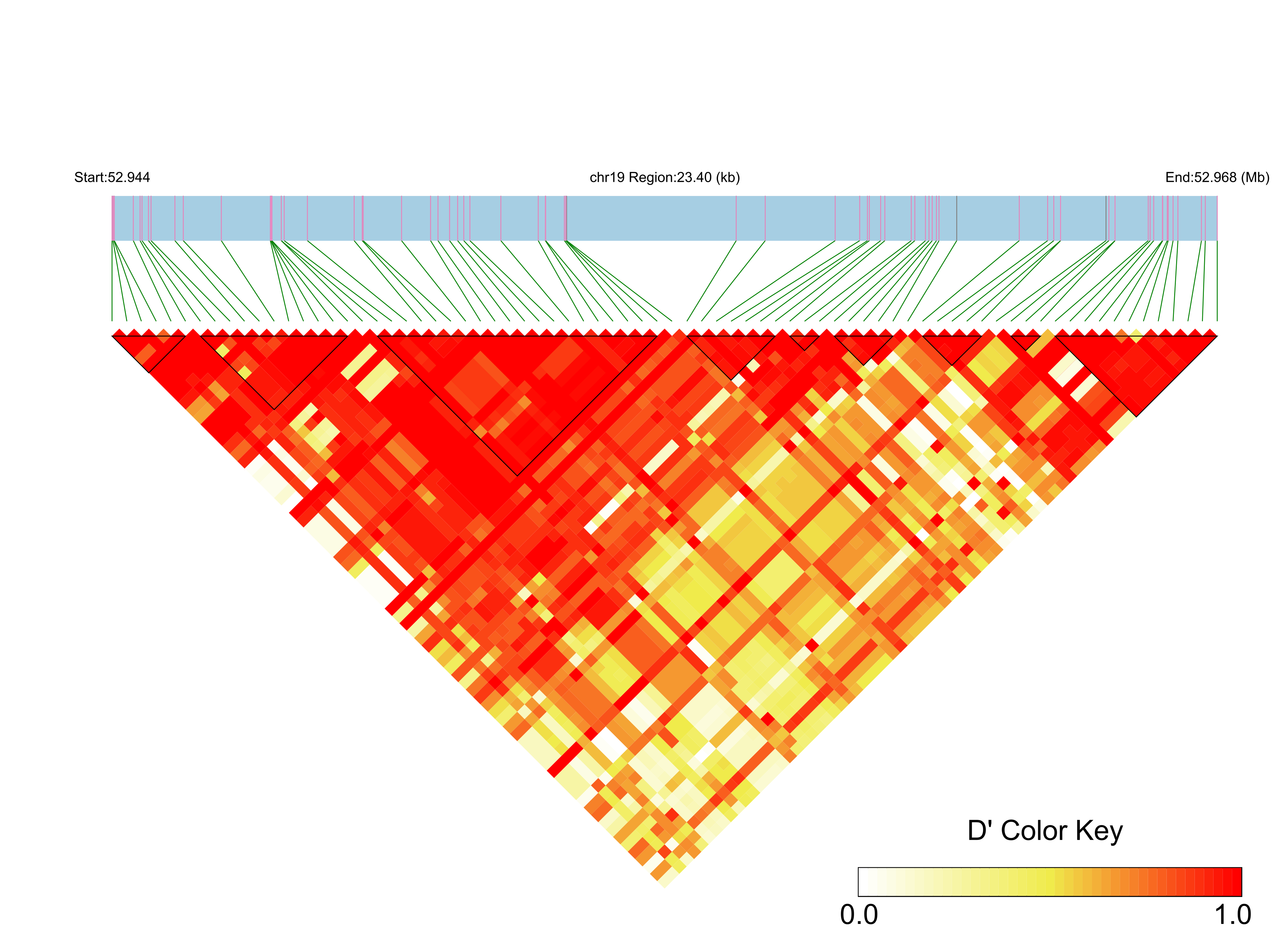 LD