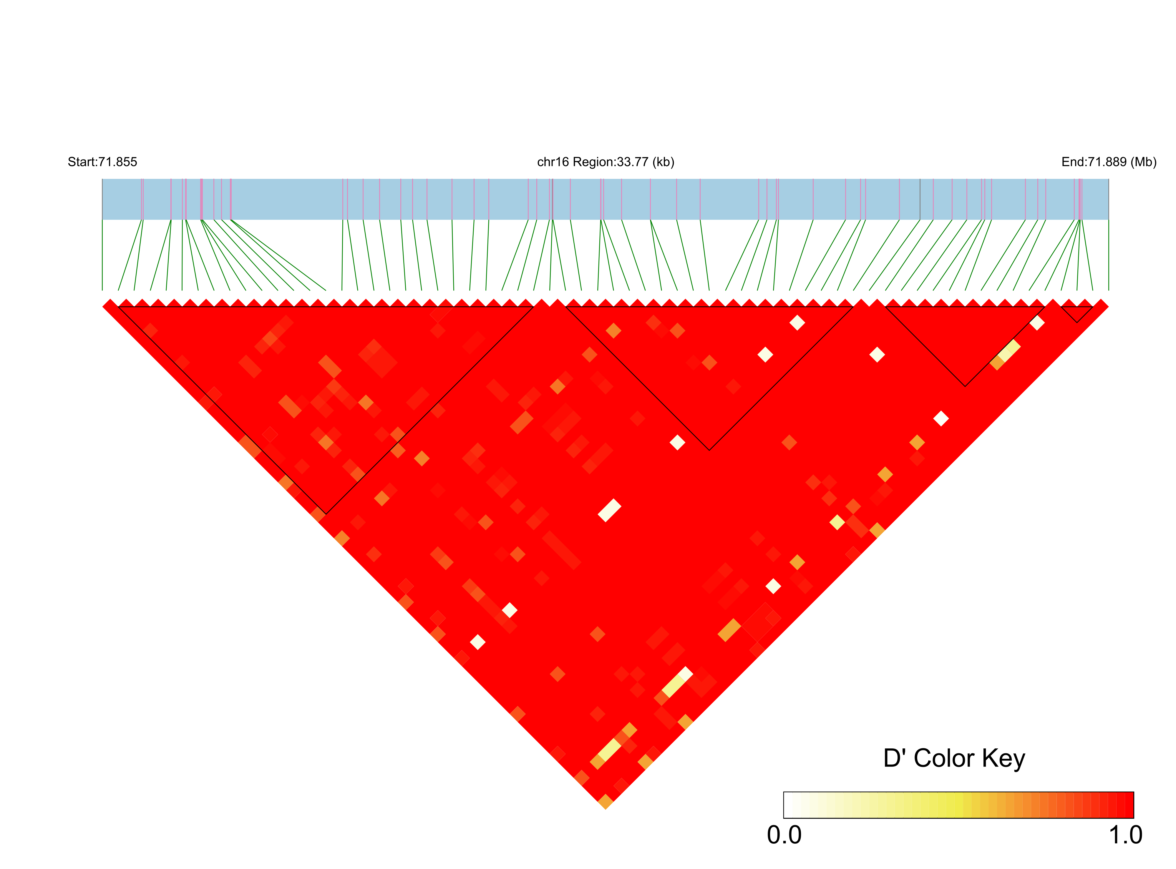 LD