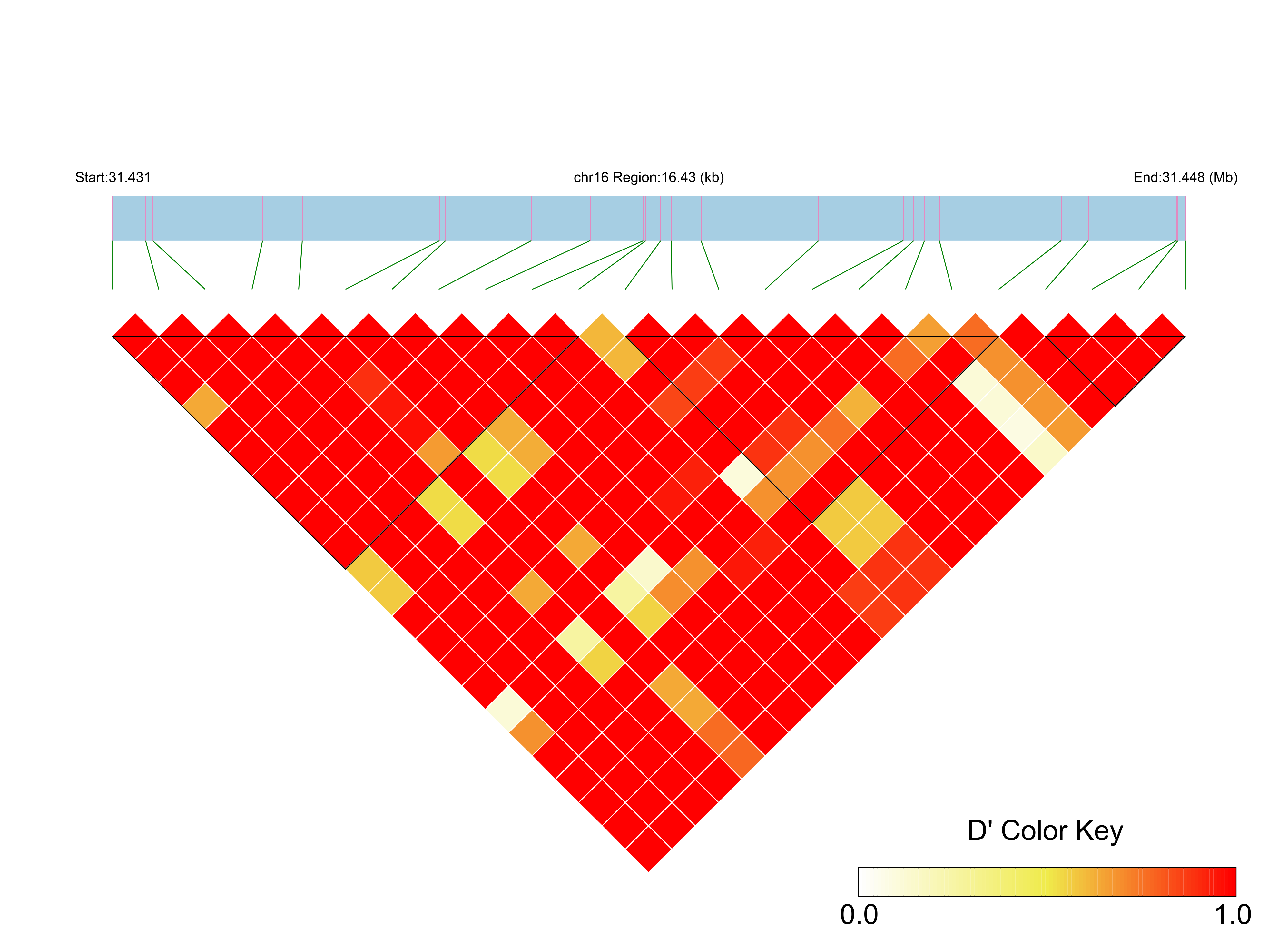 LD