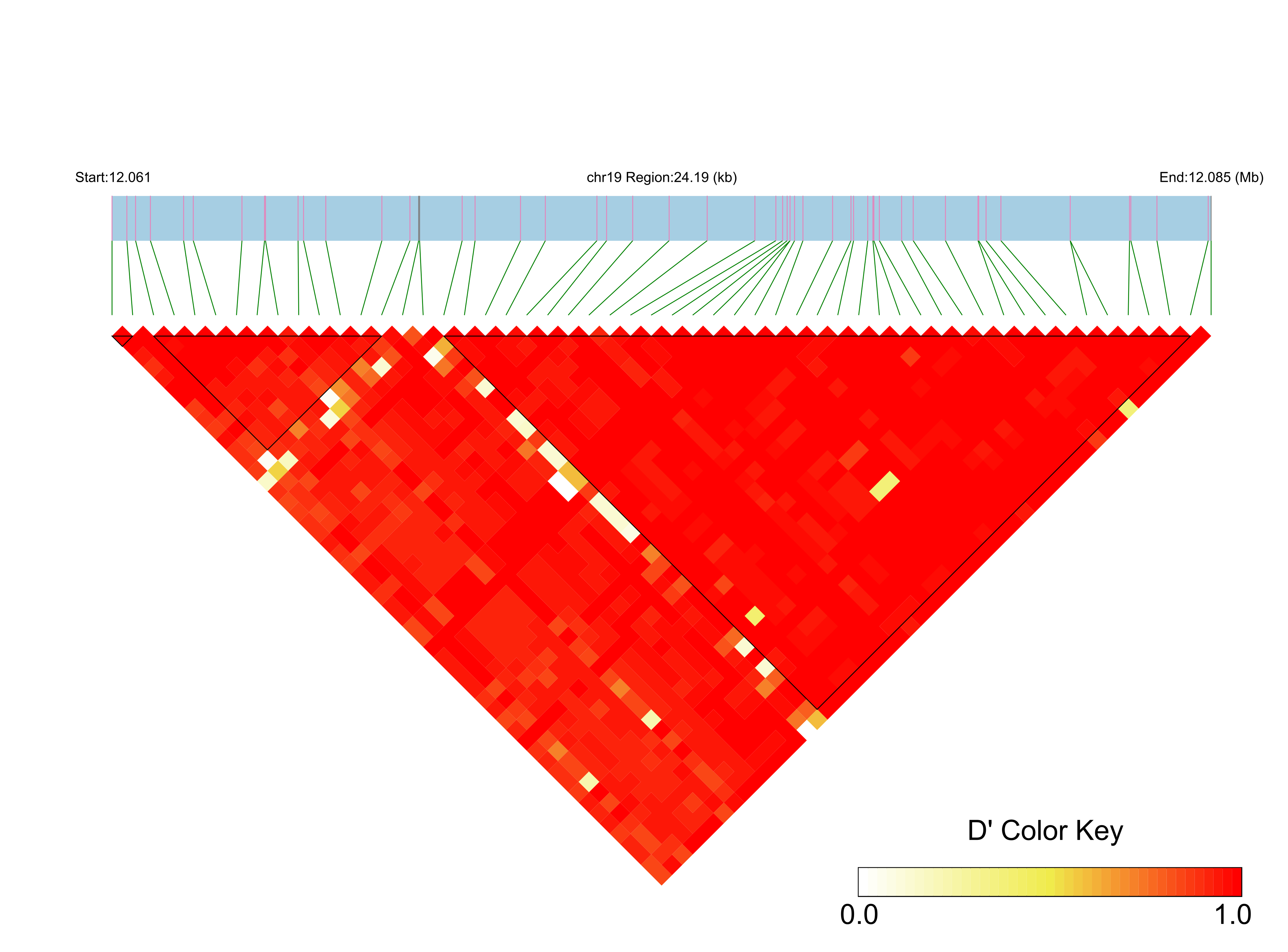 LD