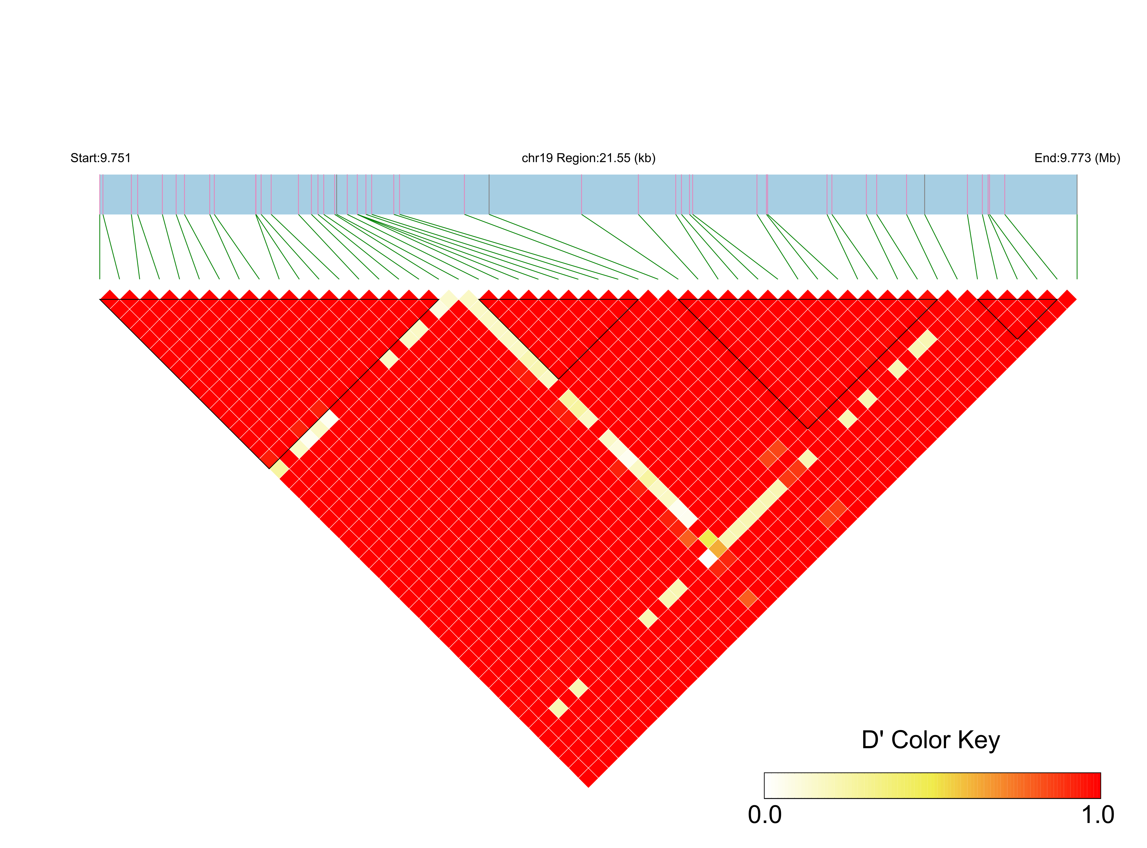 LD