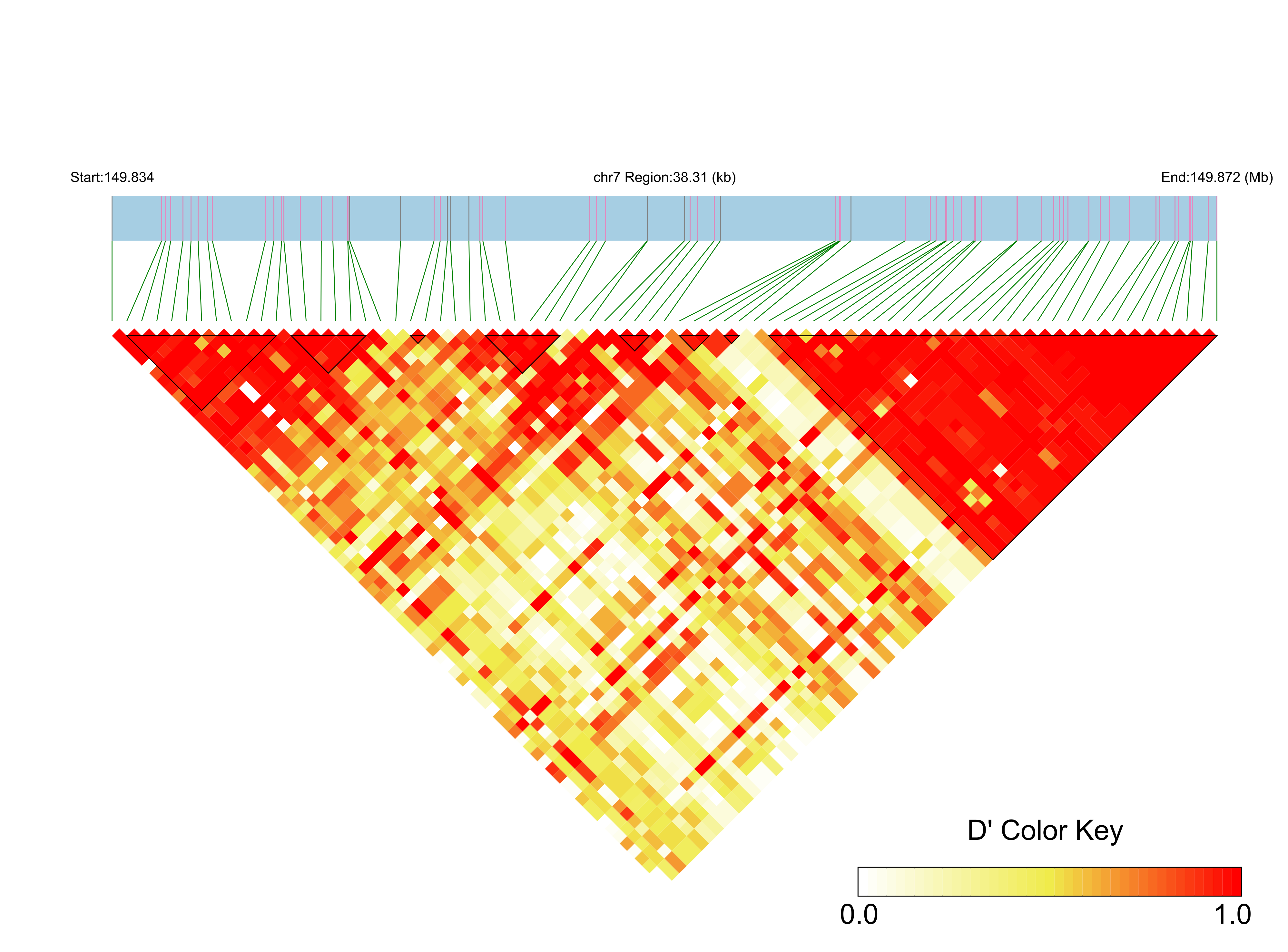 LD