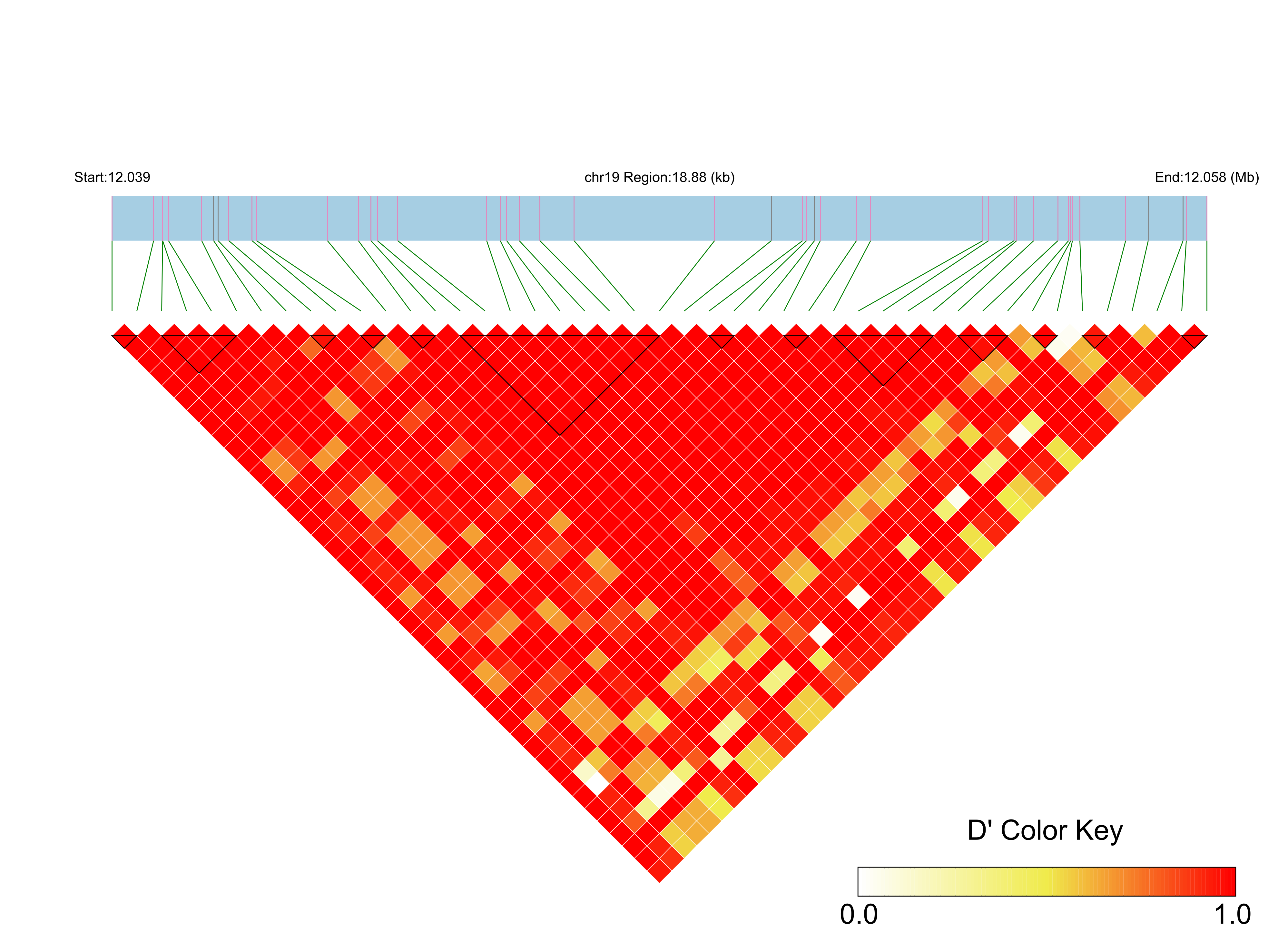 LD