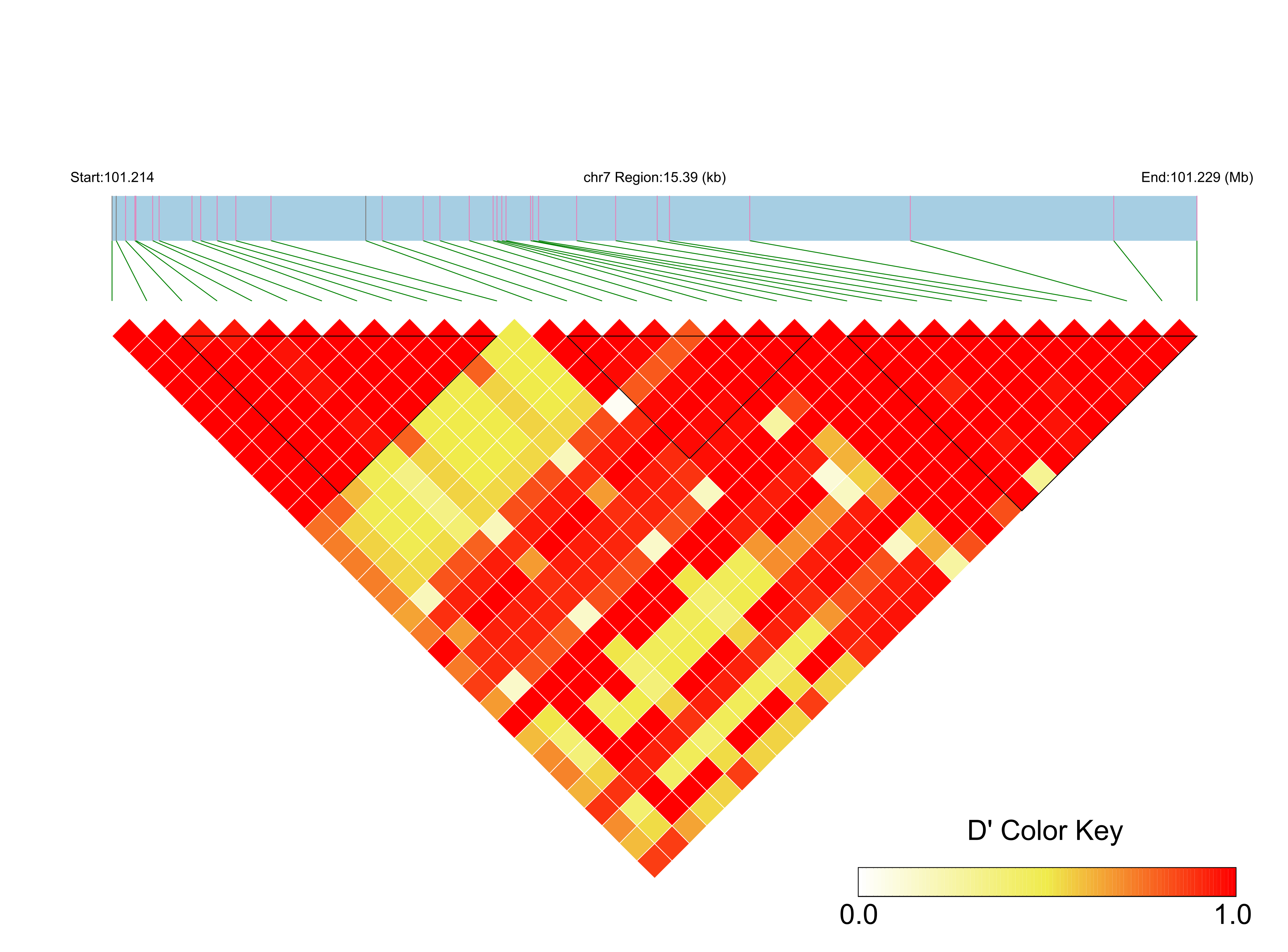LD