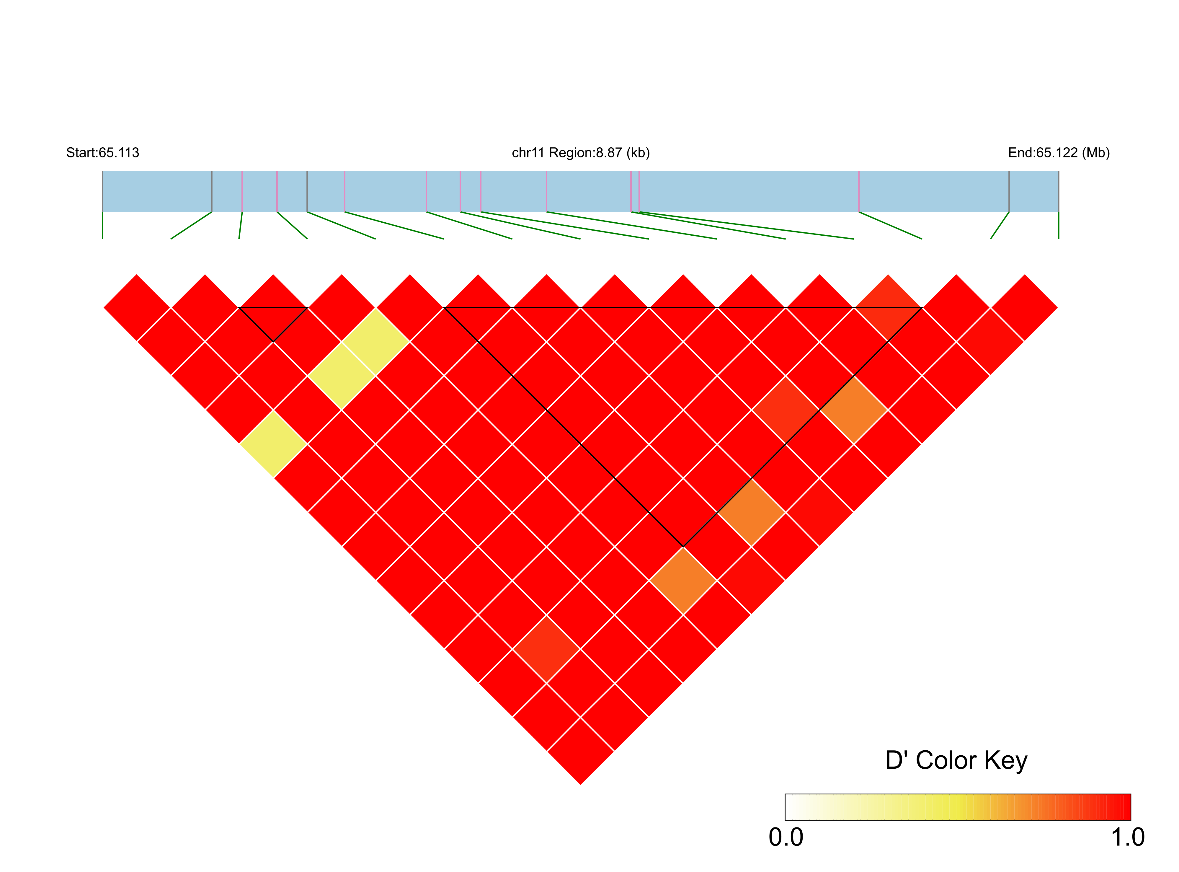 LD