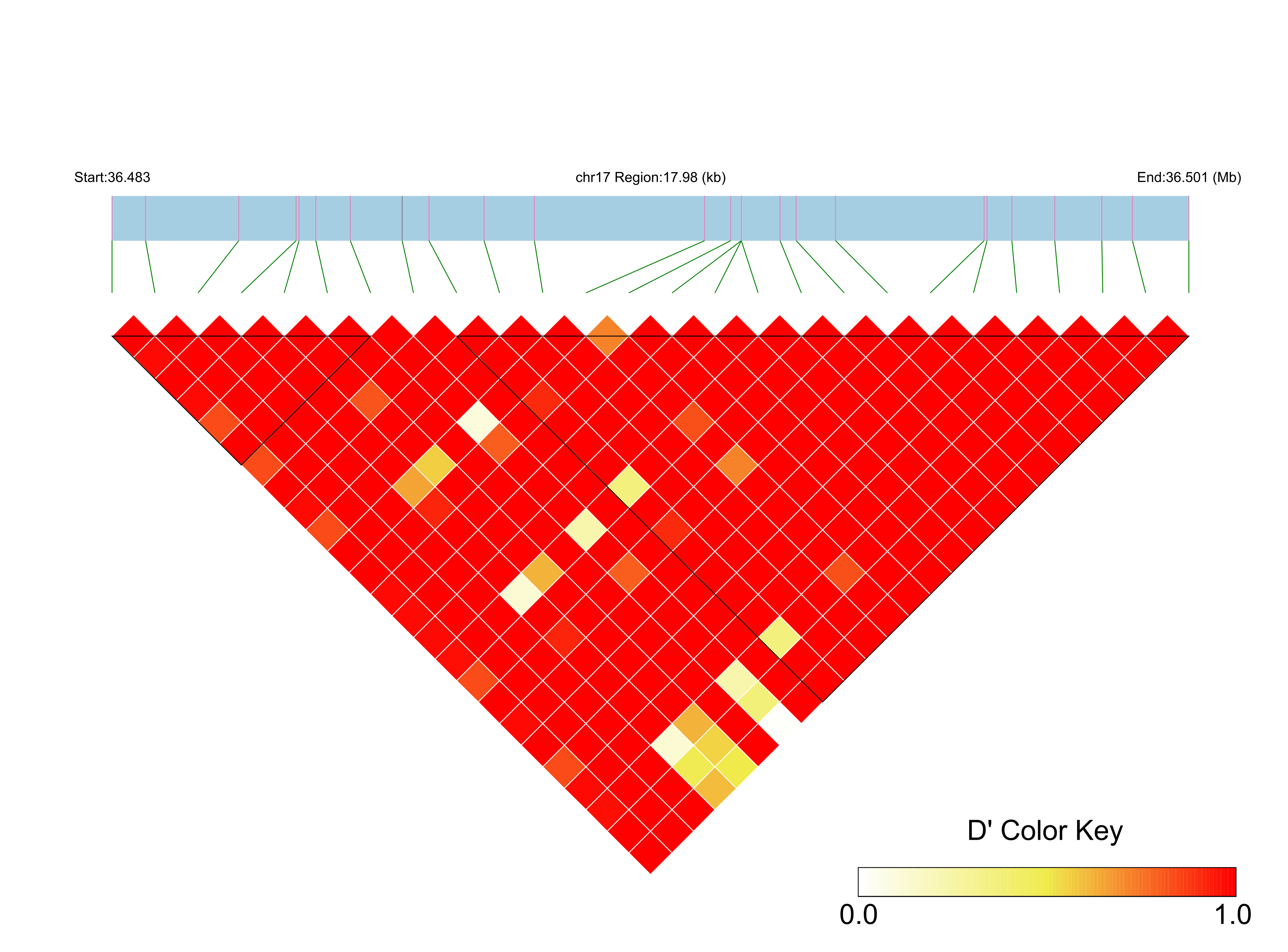 LD