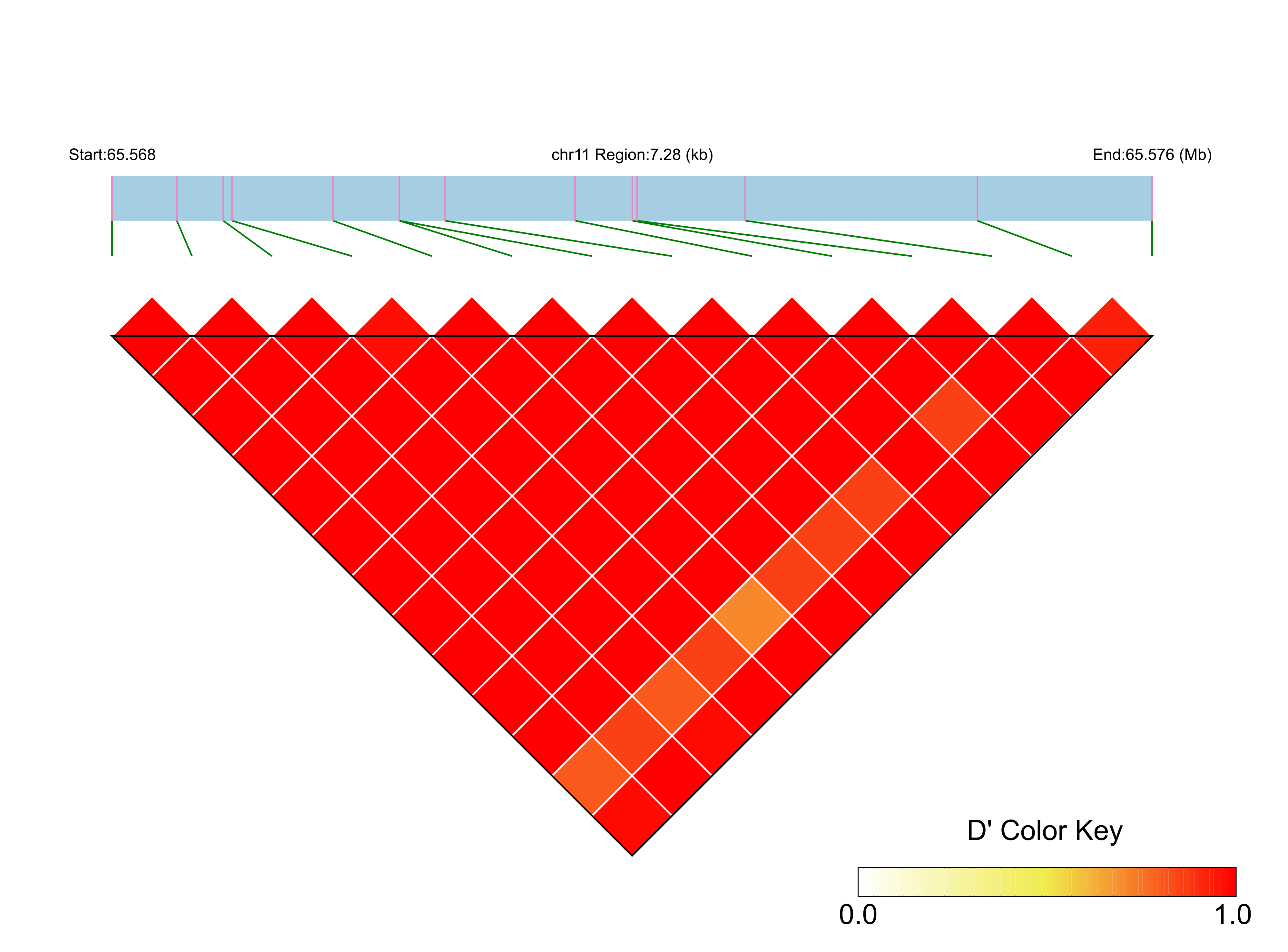 LD