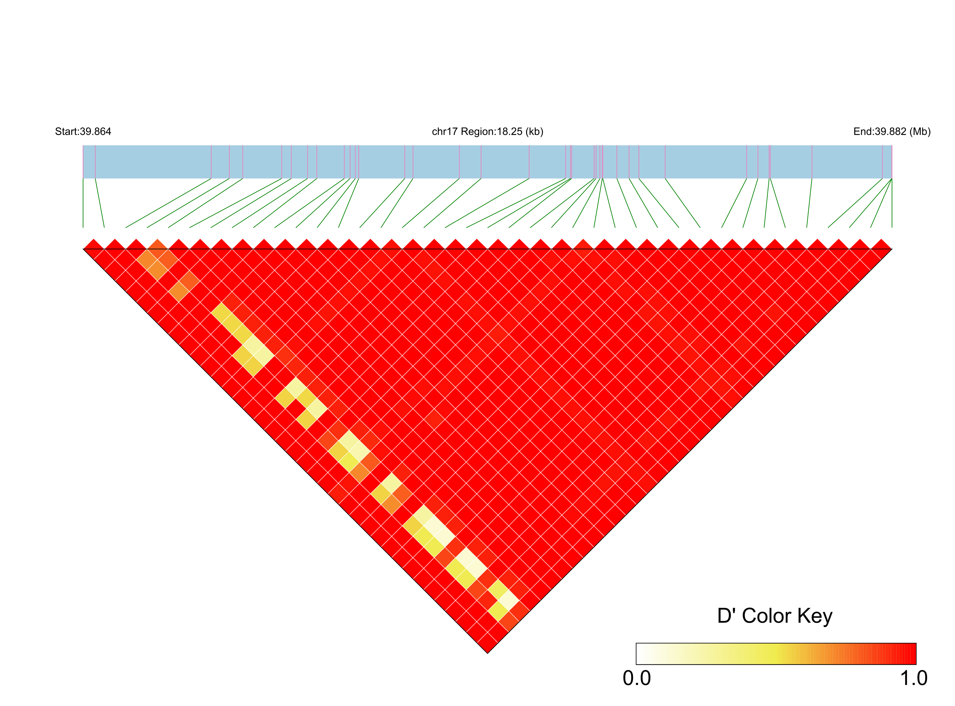 LD